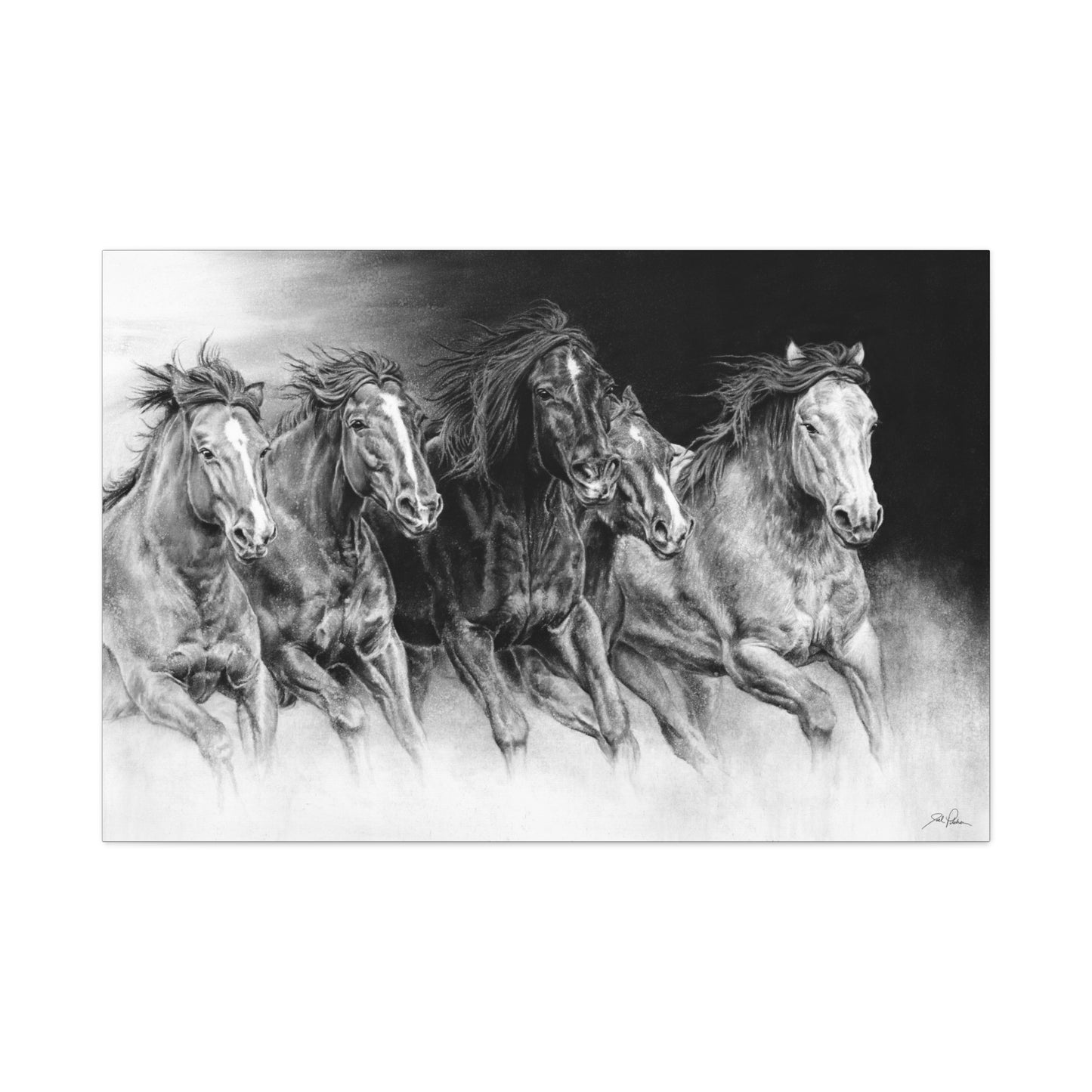 "Wild Bunch" Stretched Canvas