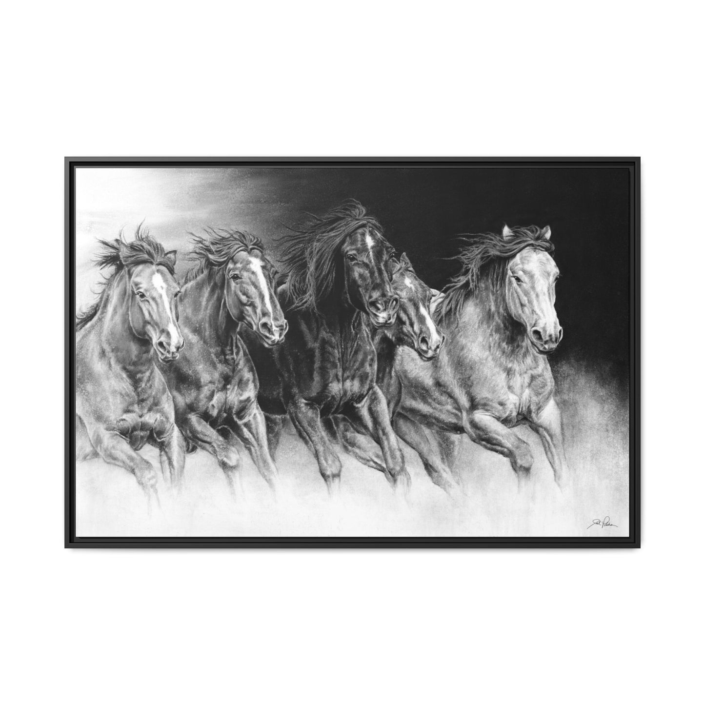 "Wild Bunch" Framed Canvas