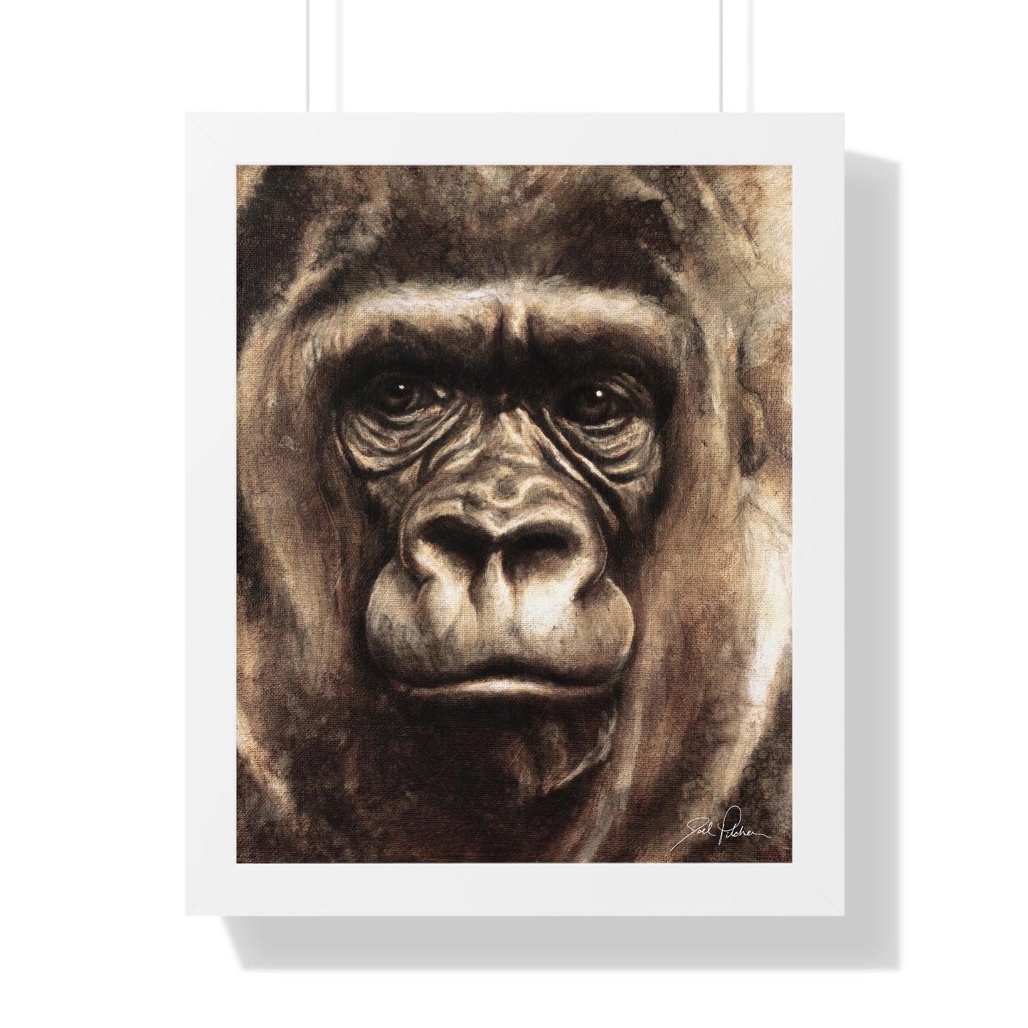 "Gorilla" Framed Paper Print
