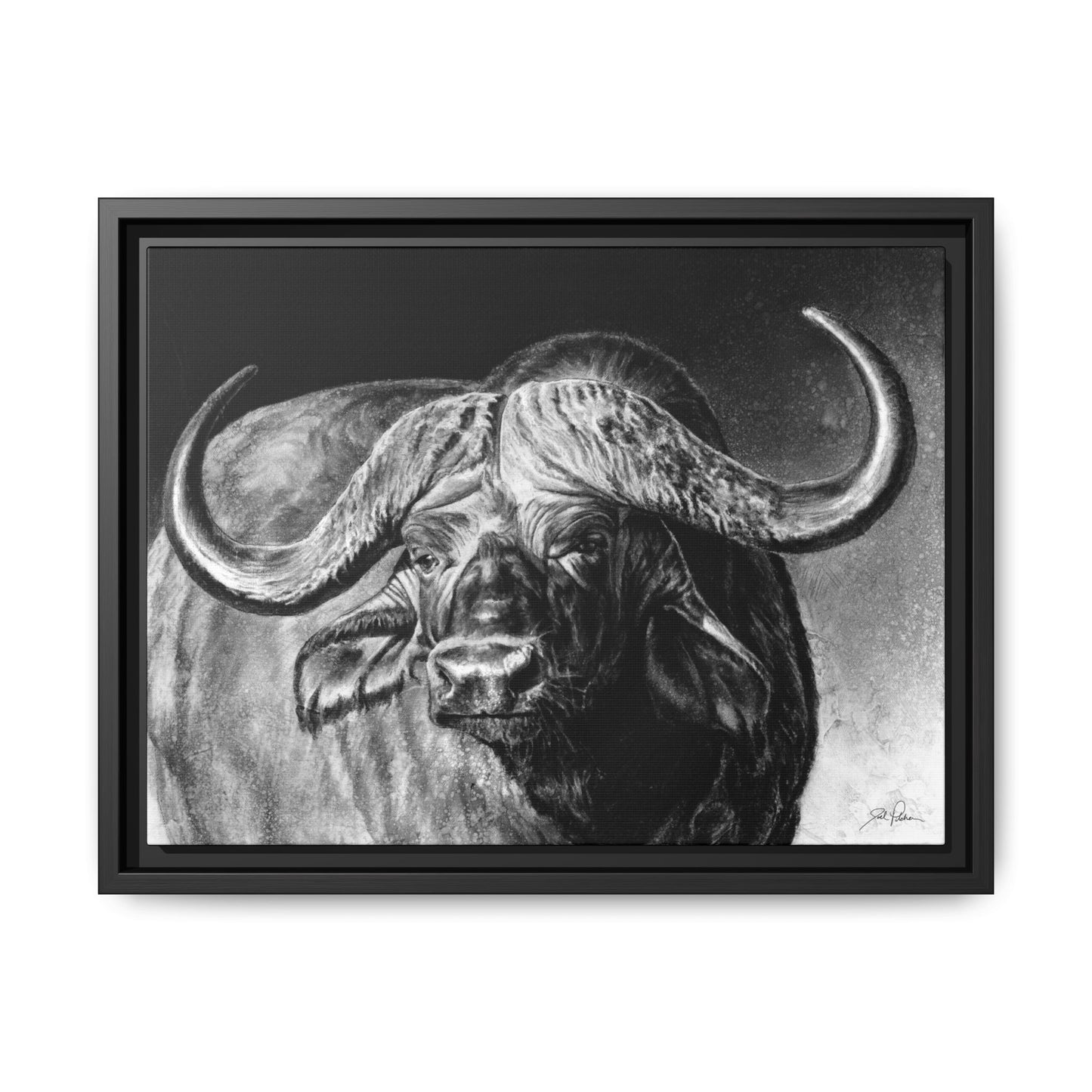 "Cape Buffalo" Framed Canvas