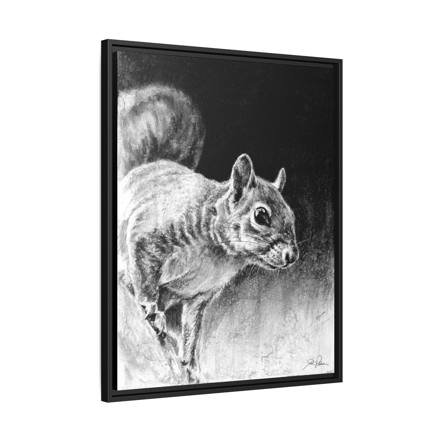 "Squirrel" Framed Canvas