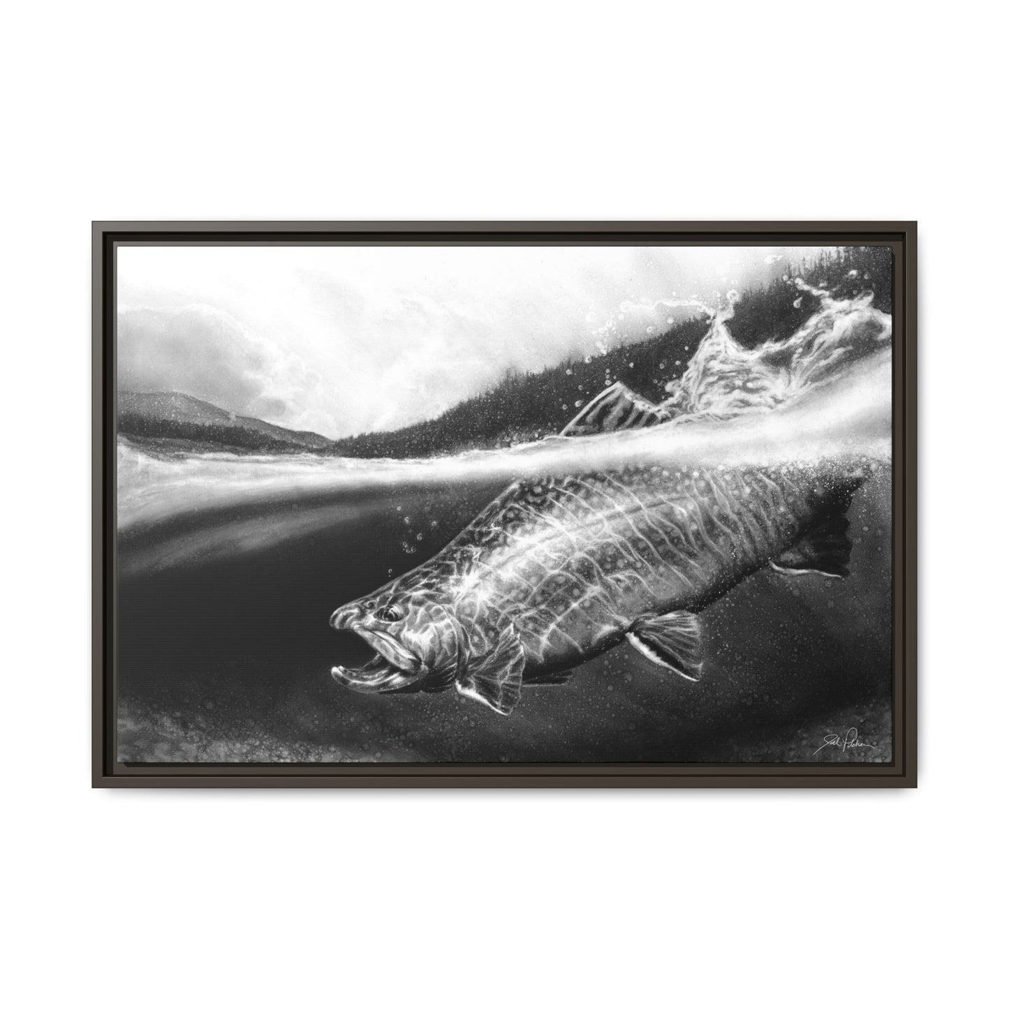 "Brook Trout" Framed Canvas