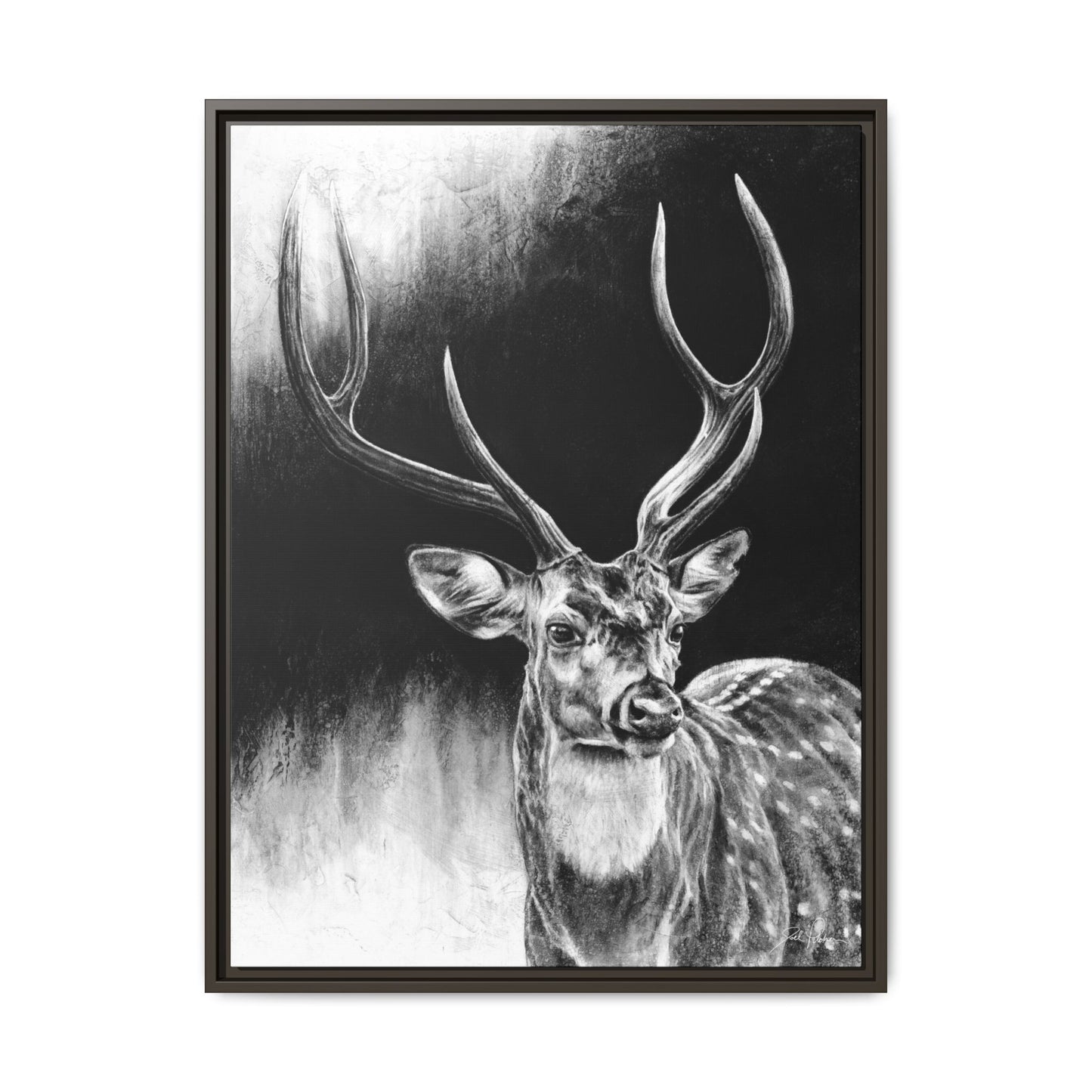 "Axis Buck" Framed Canvas