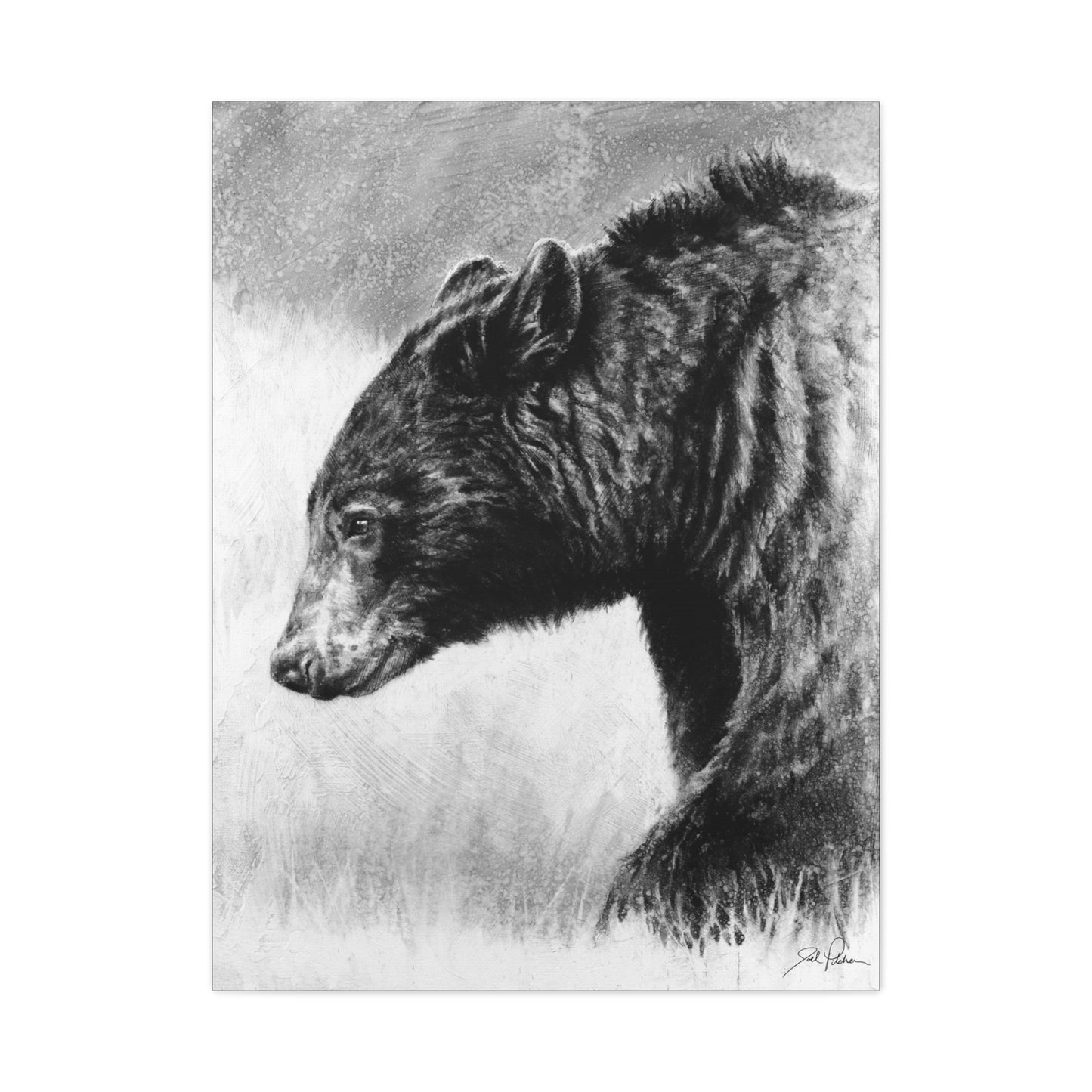 "Burly Bear" Stretched Canvas