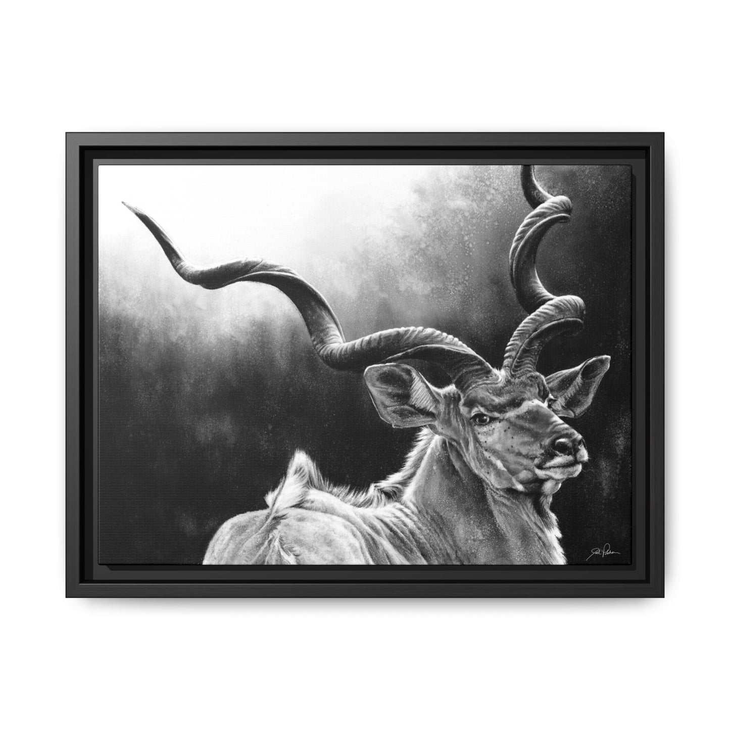 "Kudu" Framed Canvas