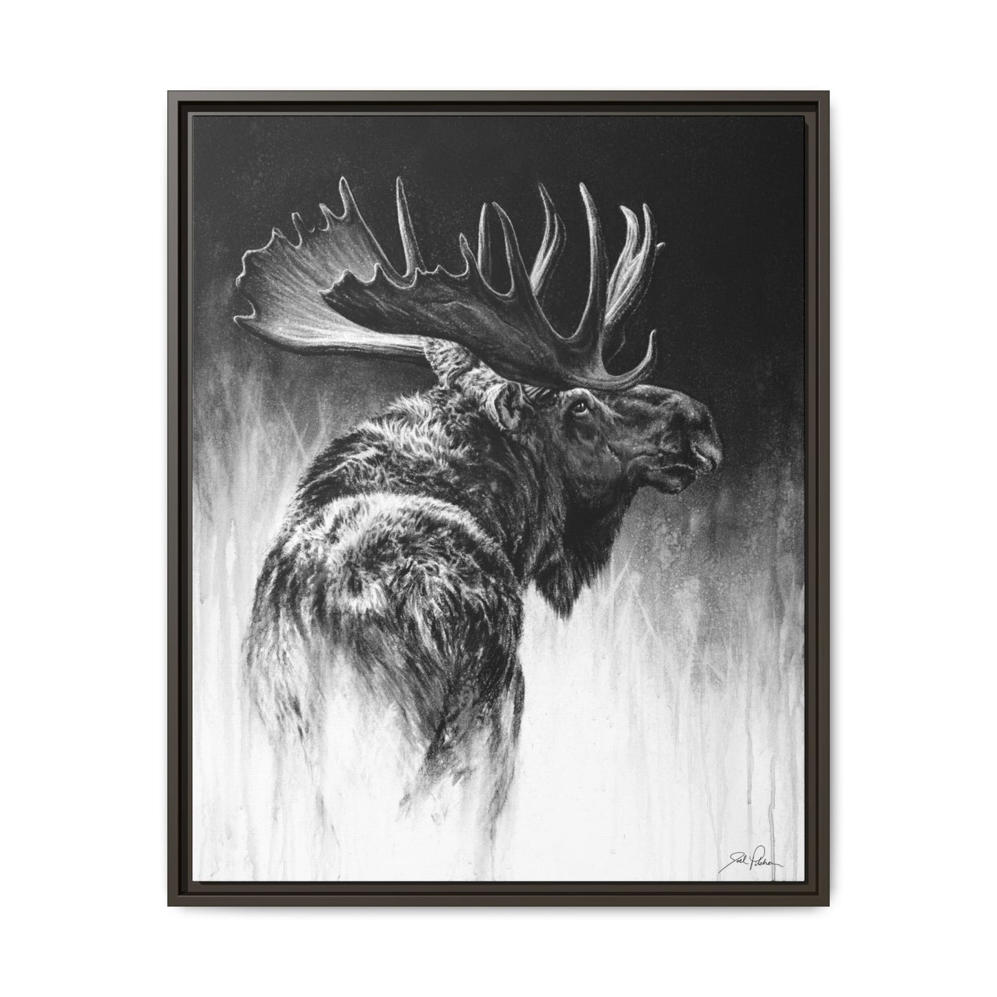 "Bull Moose" Framed Canvas