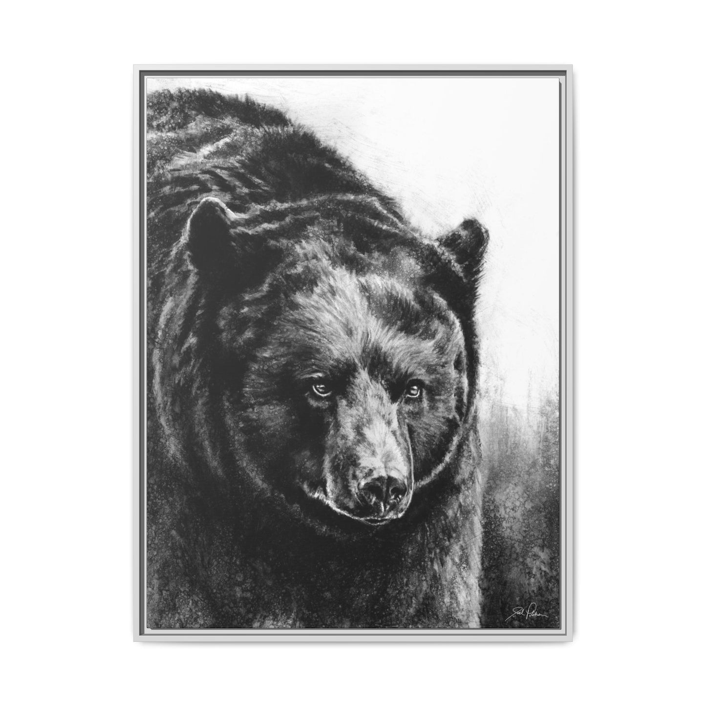 "Black Bear" Framed Canvas