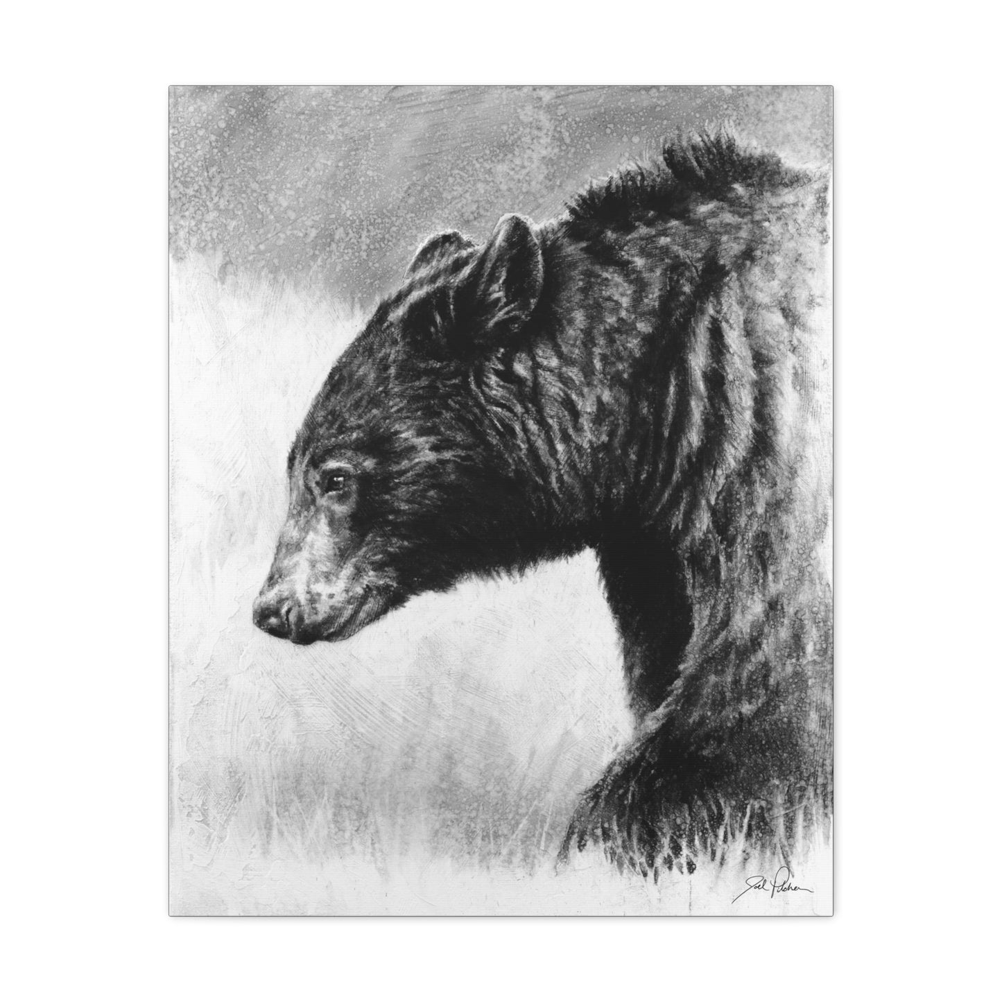 "Burly Bear" Stretched Canvas