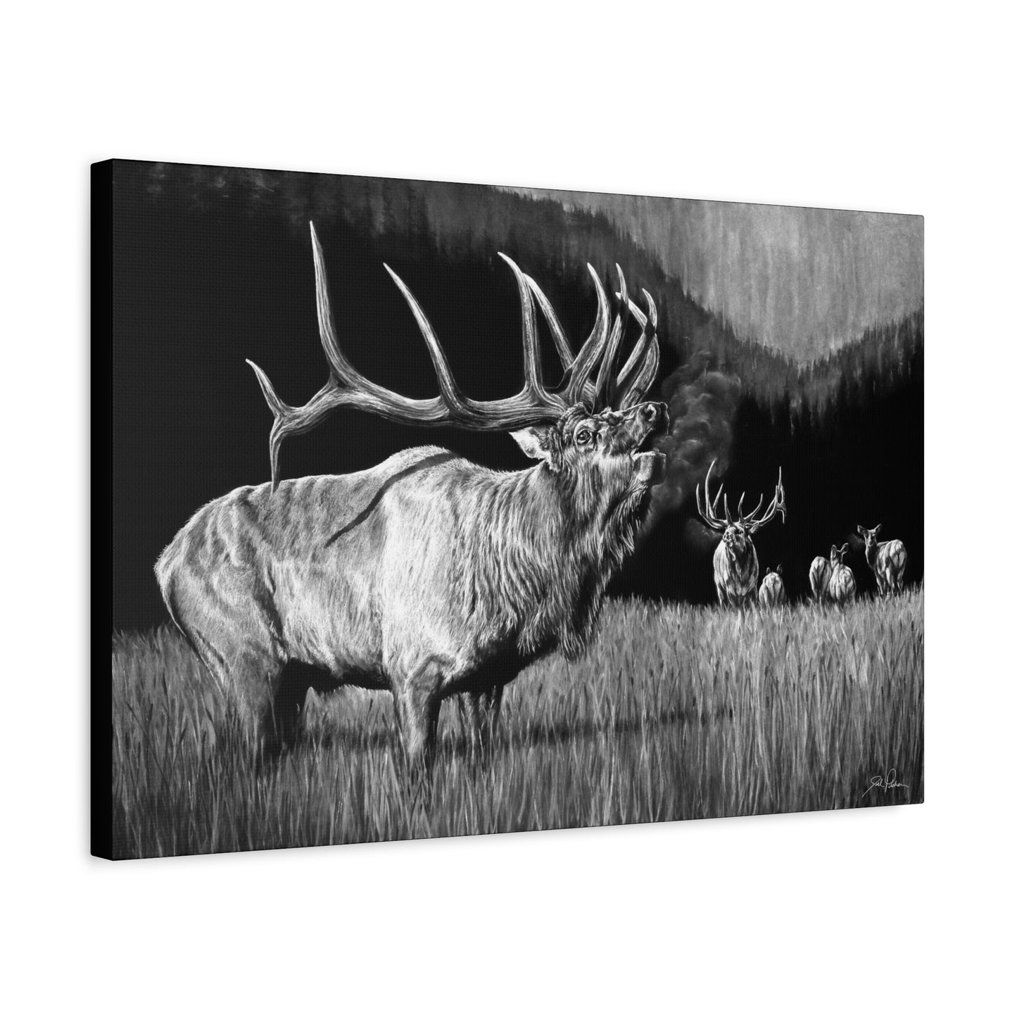 "The Contender" Stretched Canvas