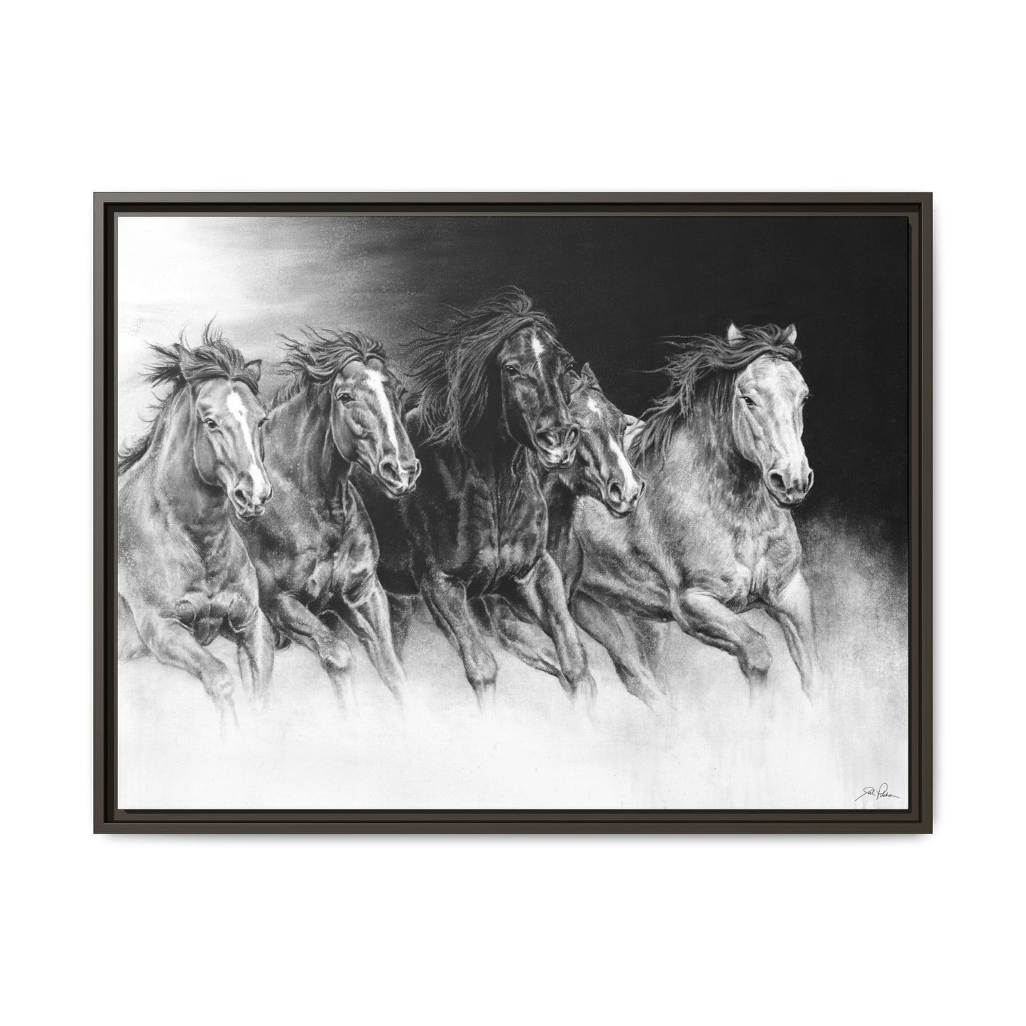 "Wild Bunch" Framed Canvas