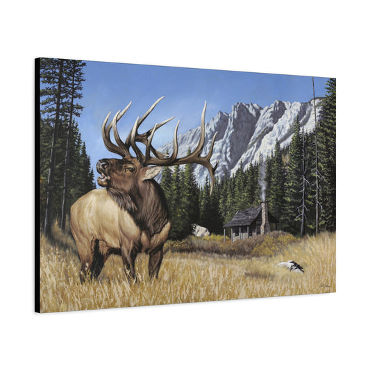 "Sanctuary" Stretched Canvas
