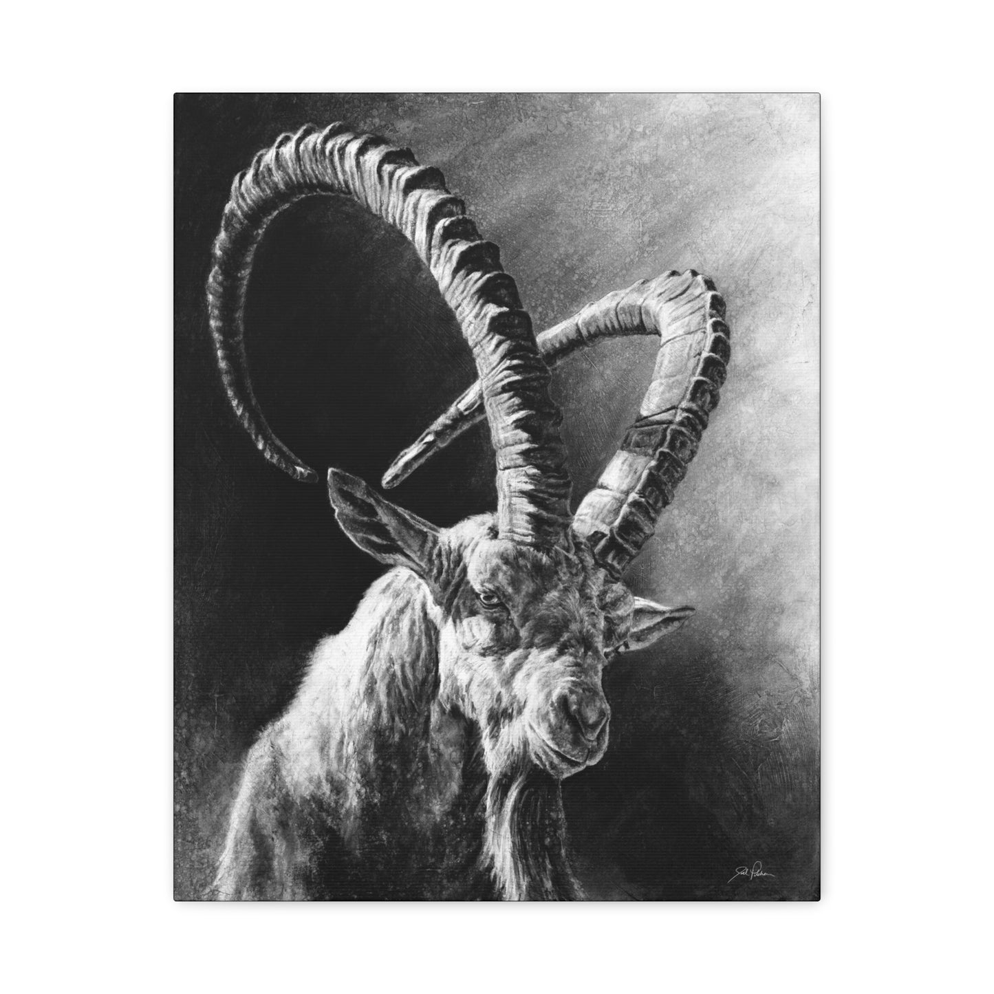 "Ibex" Stretched Canvas