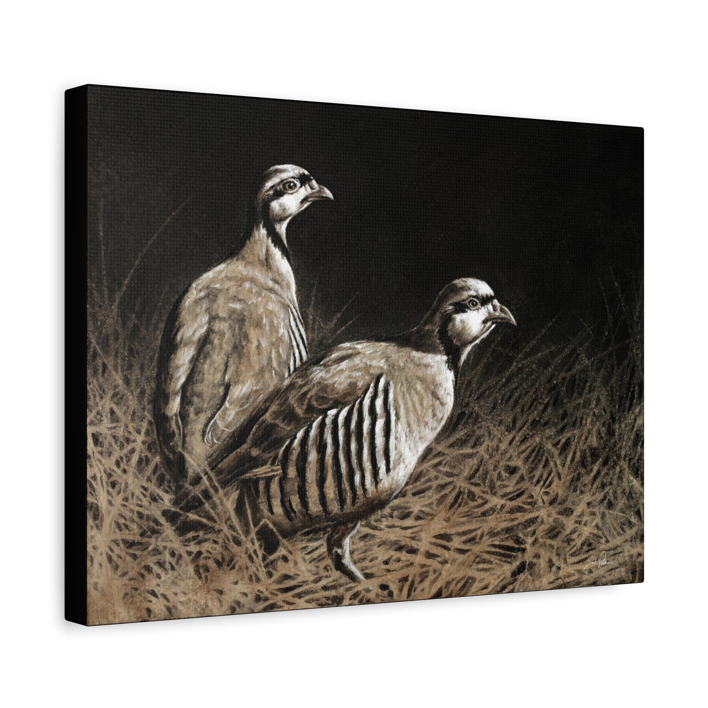 "Chukars" Stretched Canvas