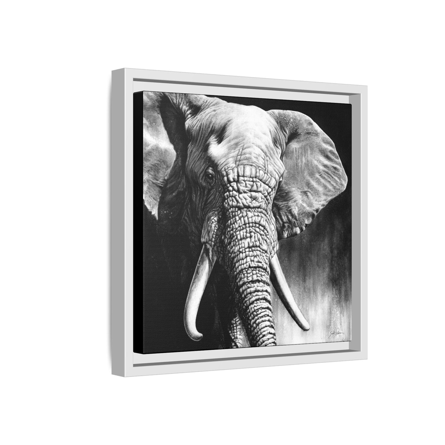 "High & Mighty" Framed Canvas