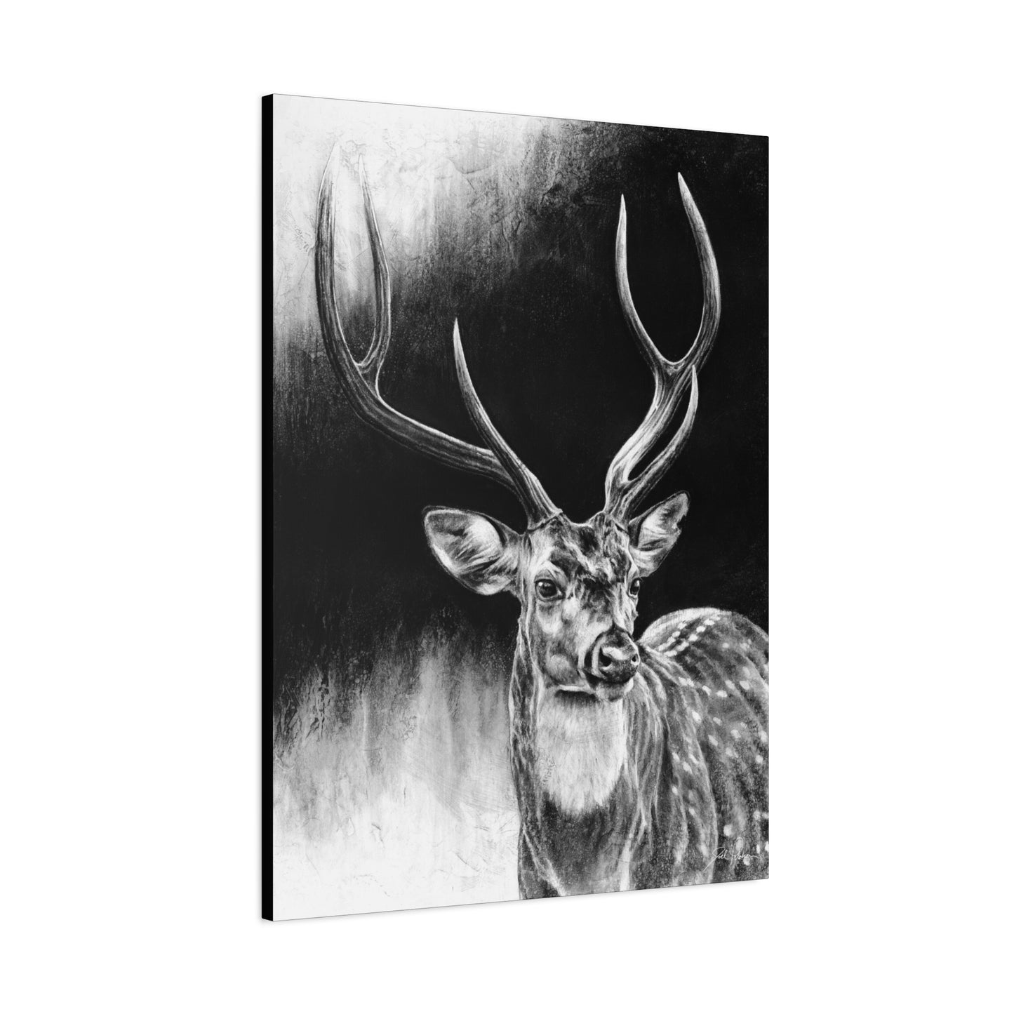 "Axis Buck" Stretched Canvas