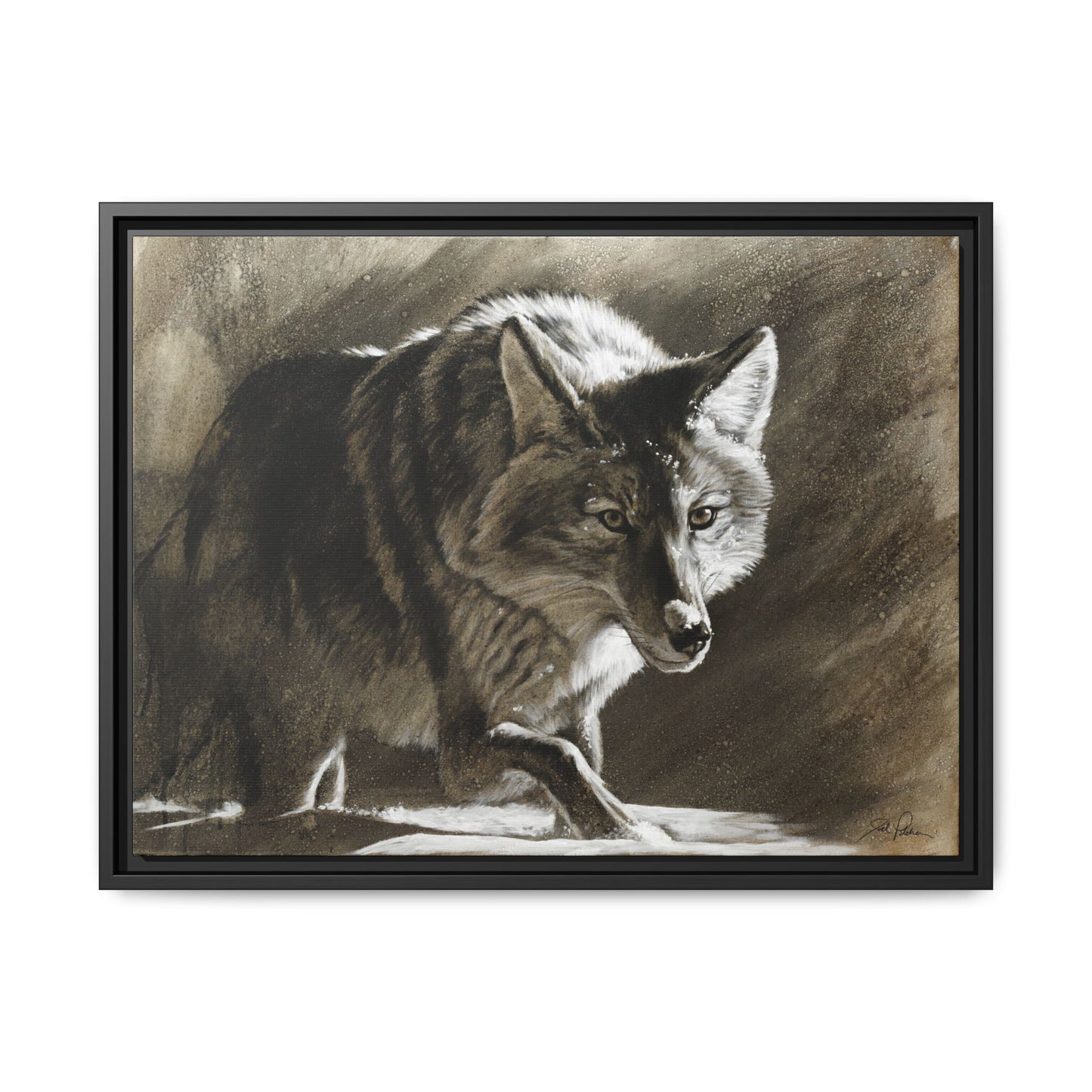 "Coyote" Framed Canvas