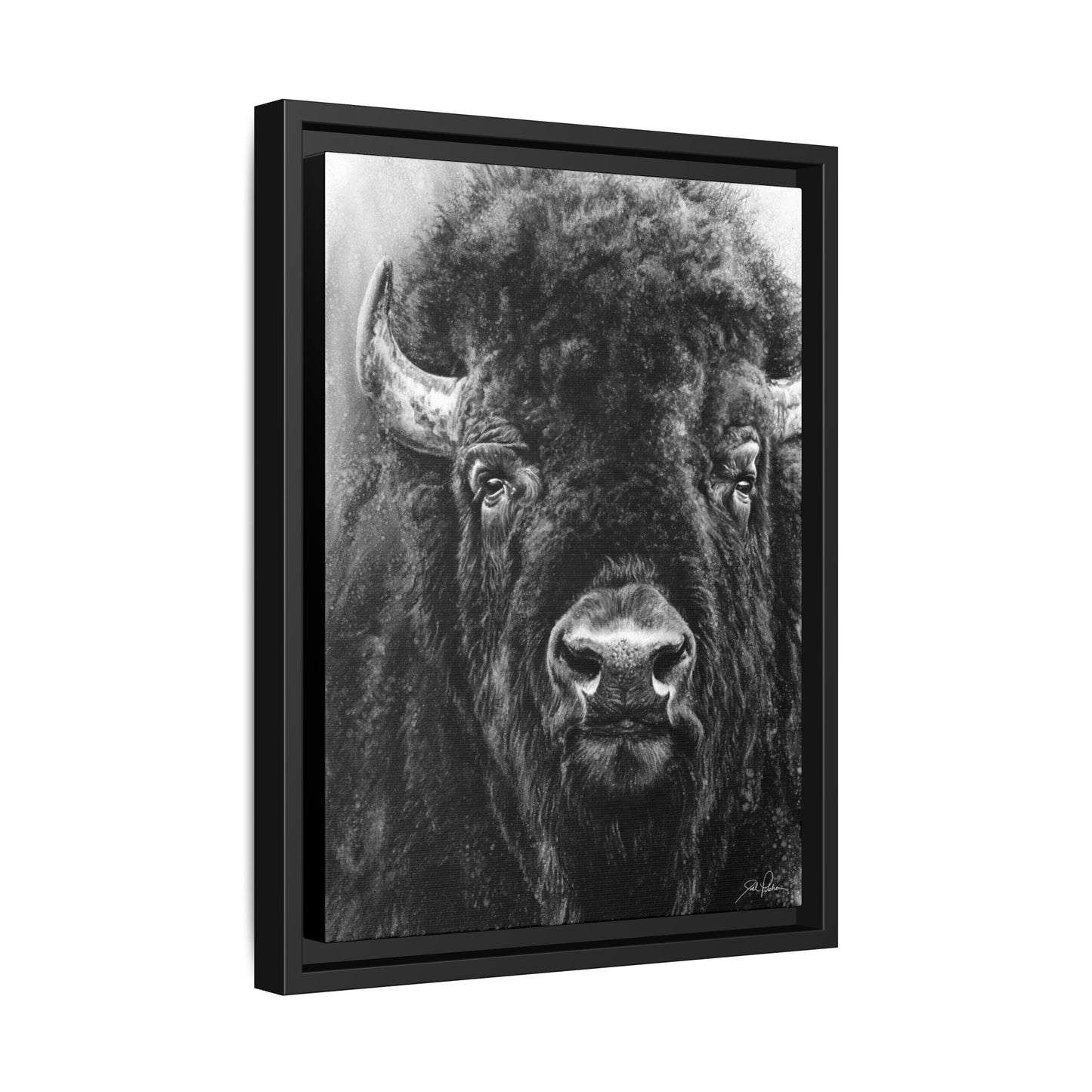 "Tatanka" Framed Canvas