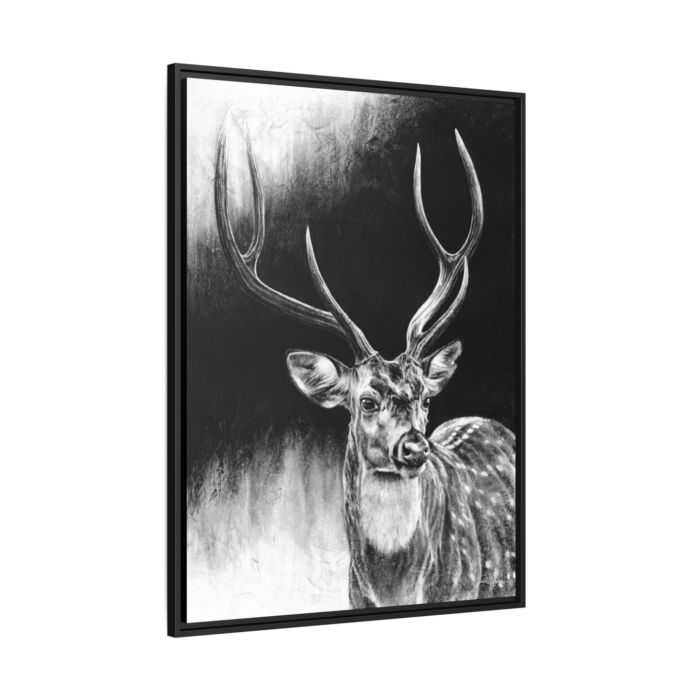 "Axis Buck" Framed Canvas