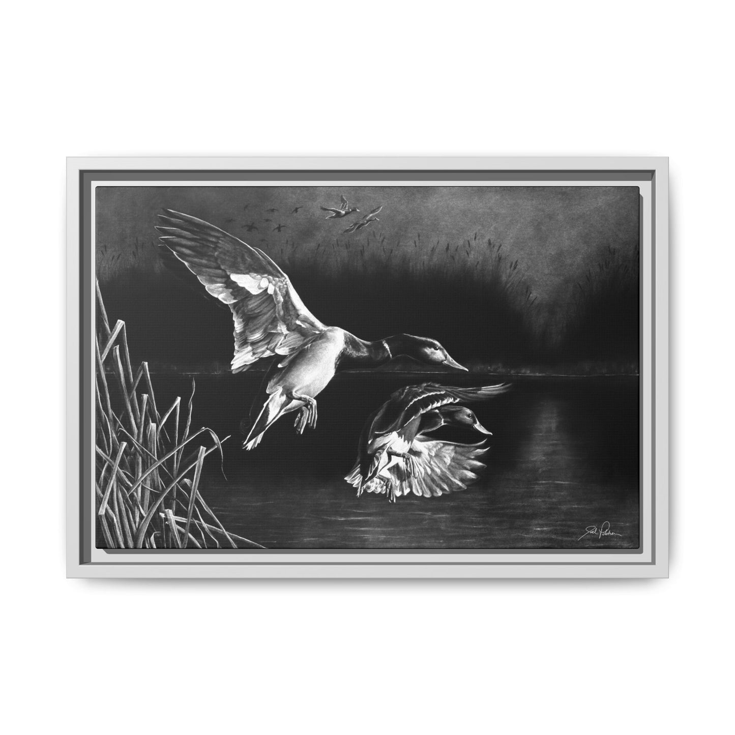 "Banded Brothers" Framed Canvas