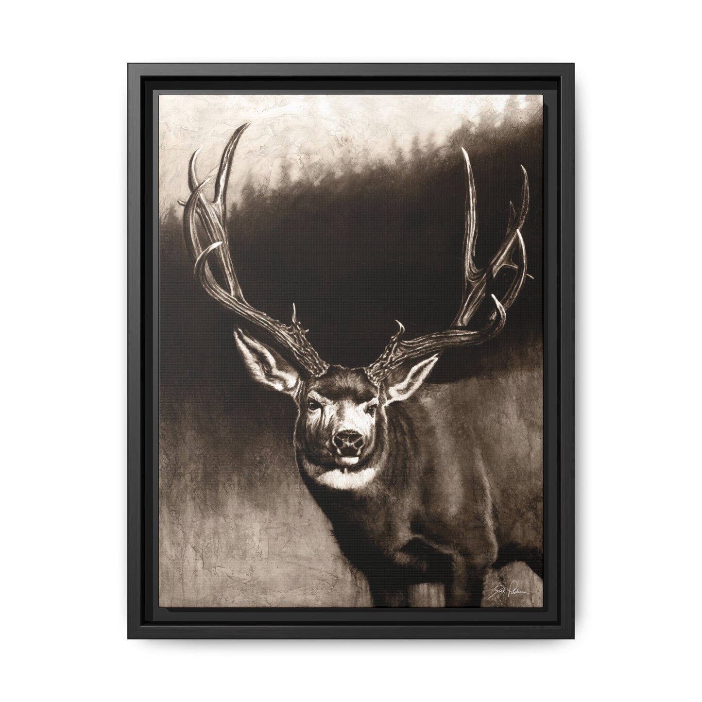 "Muley" Framed Canvas