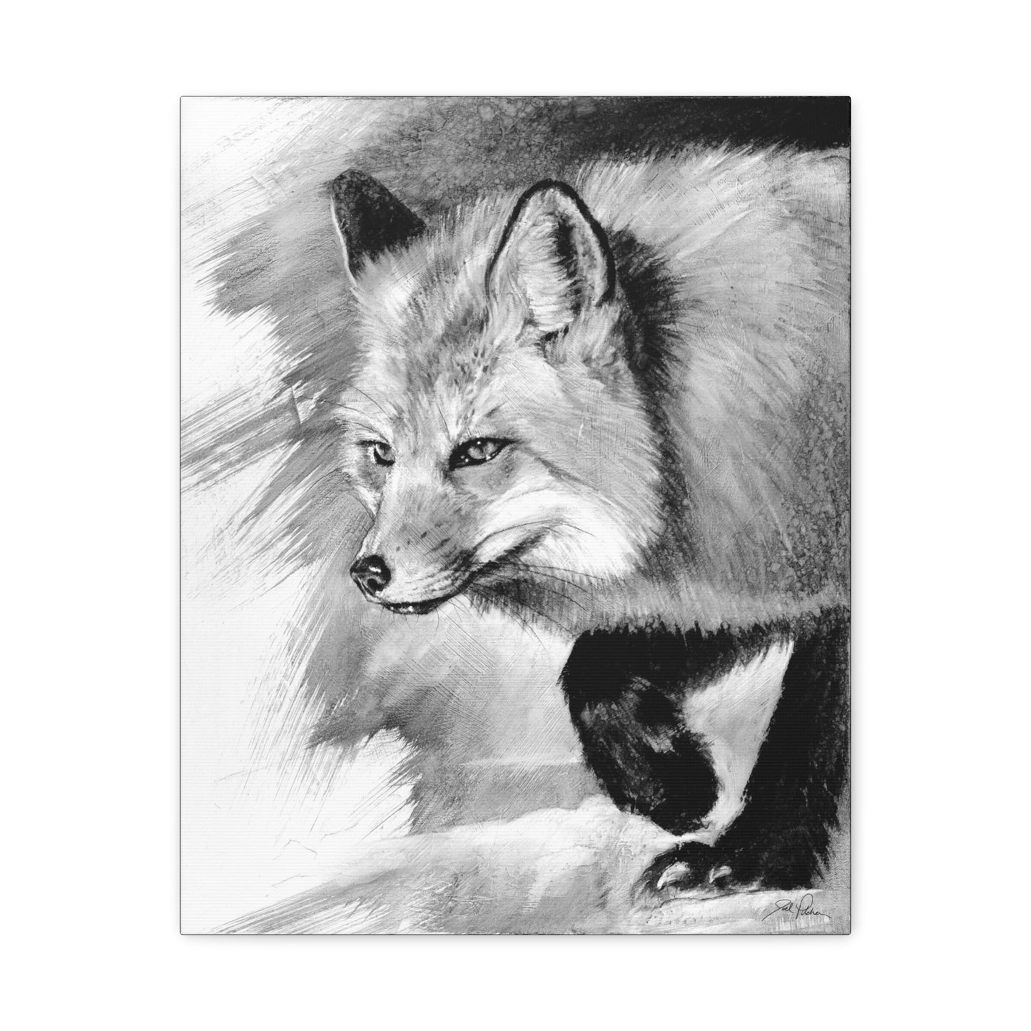 "Fox" Stretched Canvas