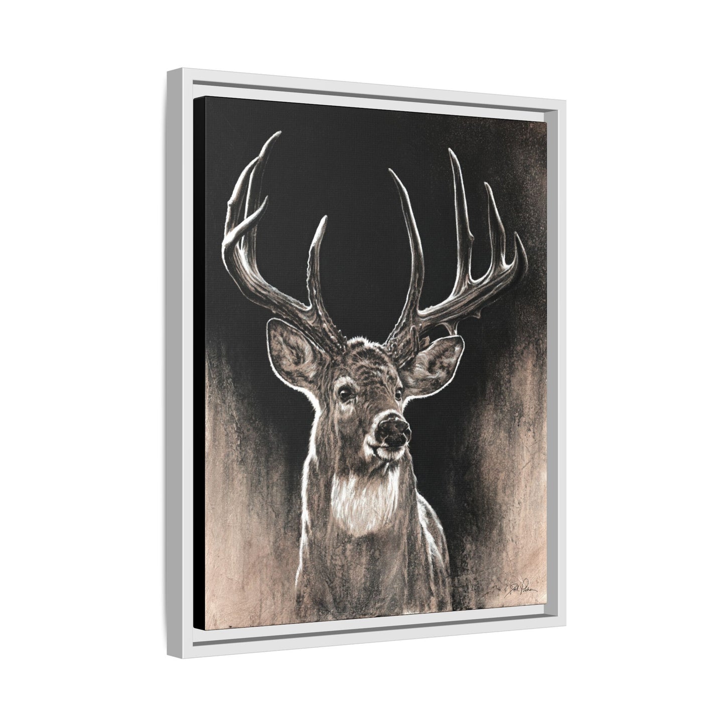 "Backlit Buck" Framed Canvas