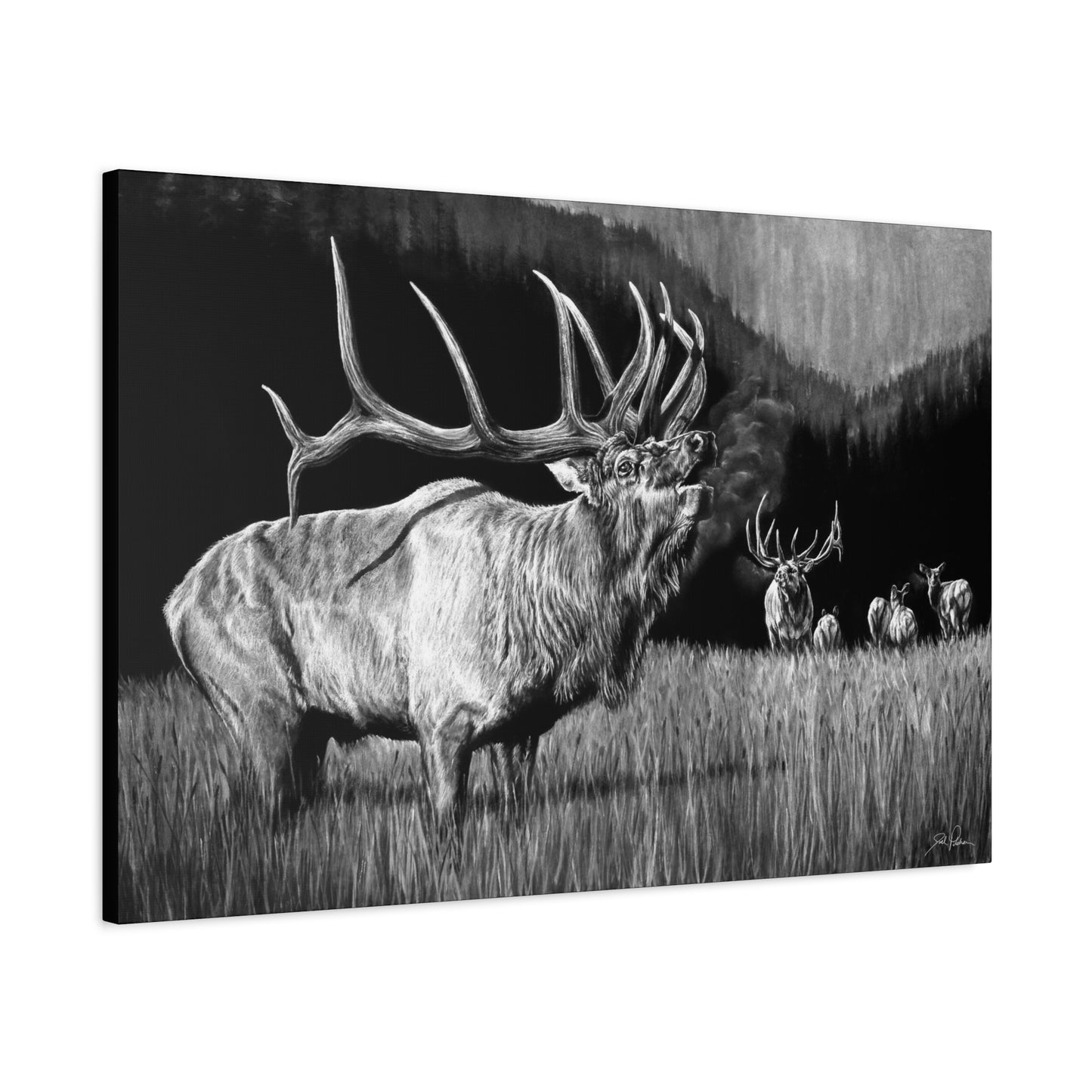 "The Contender" Stretched Canvas