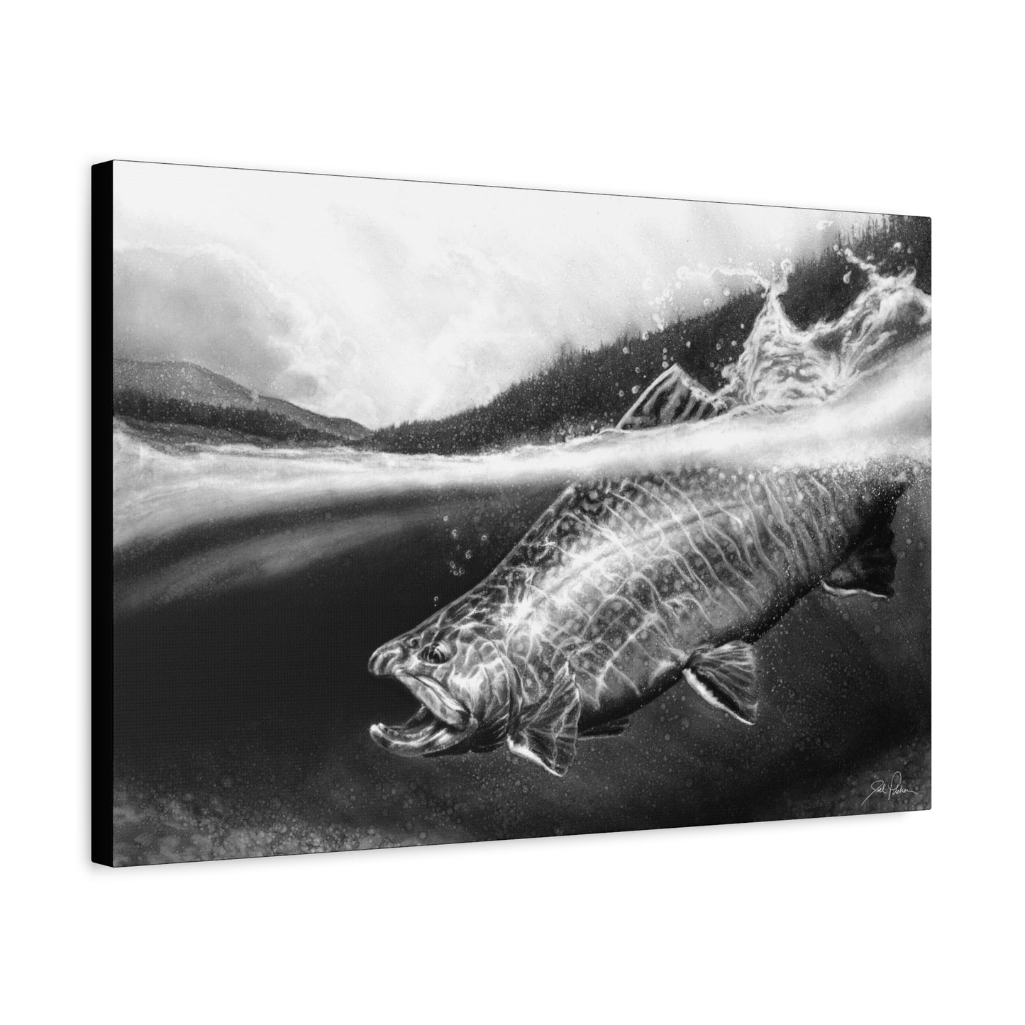 "Brook Trout" Stretched Canvas