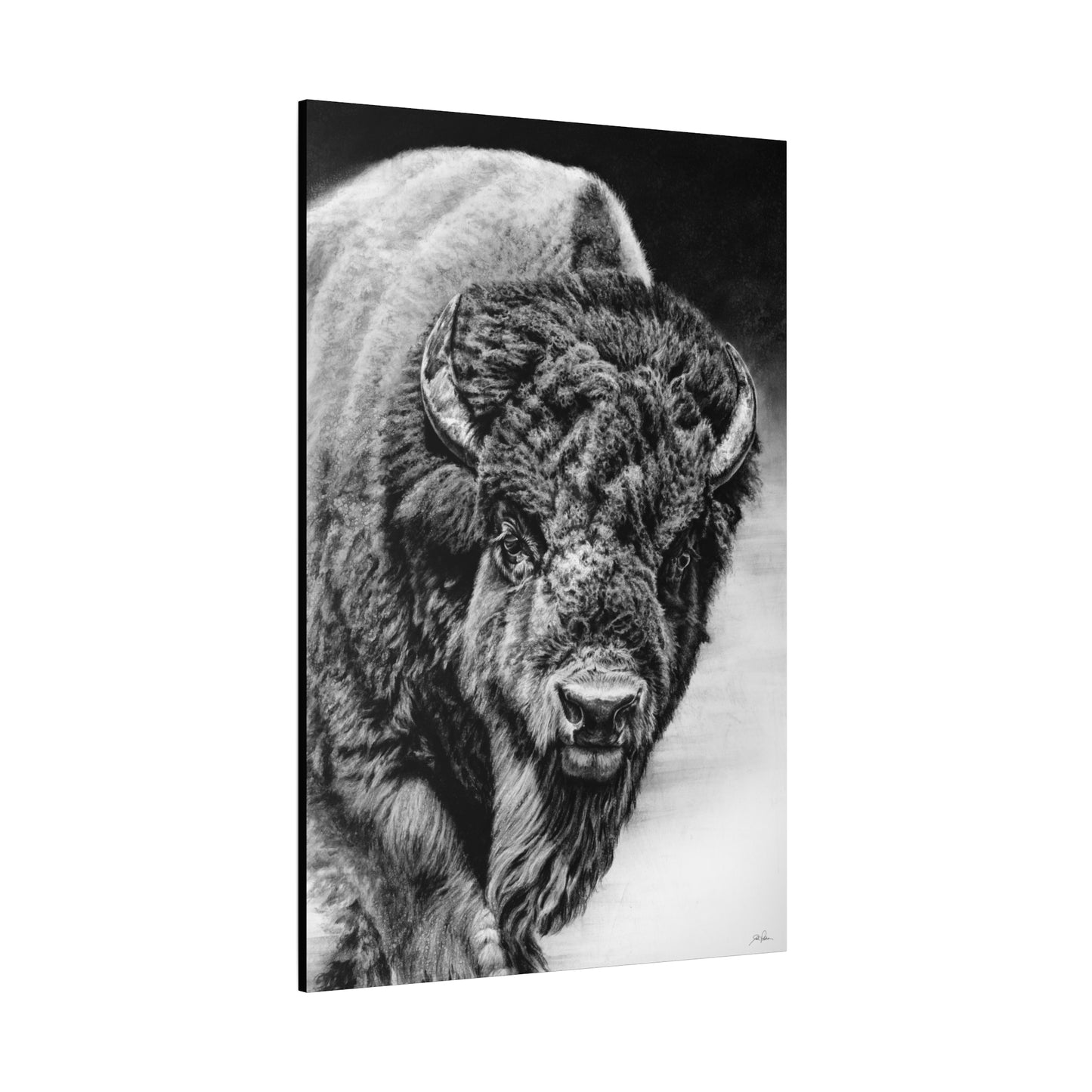 "Heavyweight Champ" Stretched Canvas