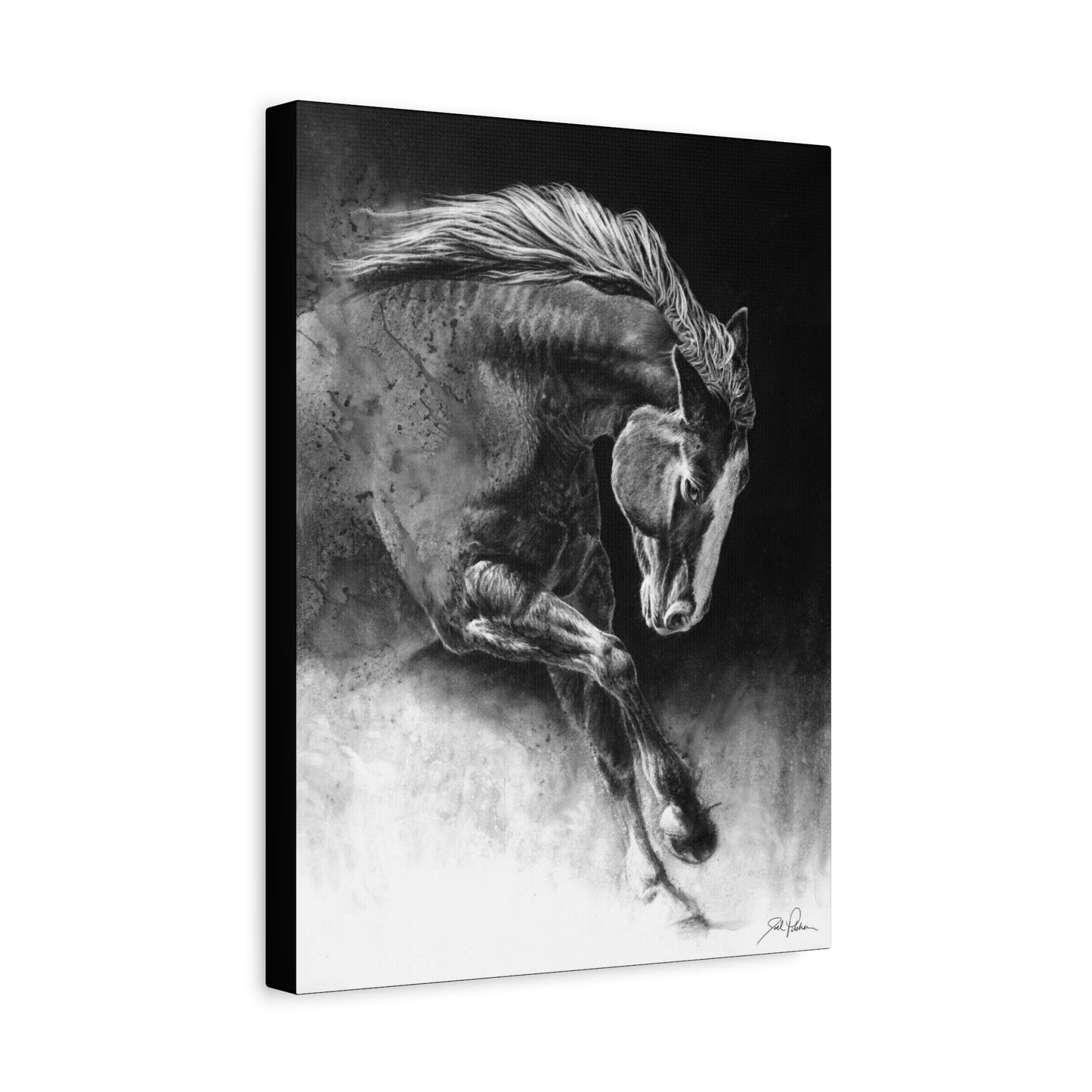 "Unbridled" Stretched Canvas