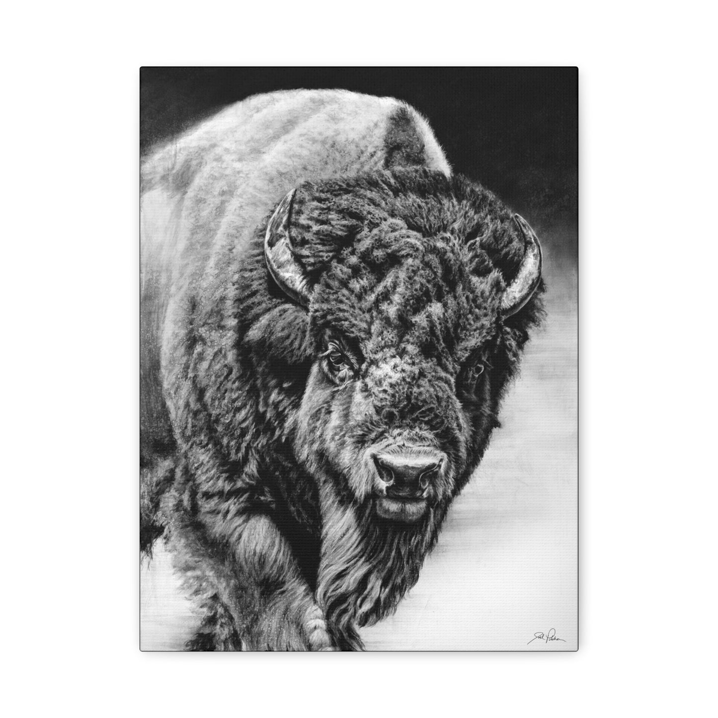 "Heavyweight Champ" Stretched Canvas