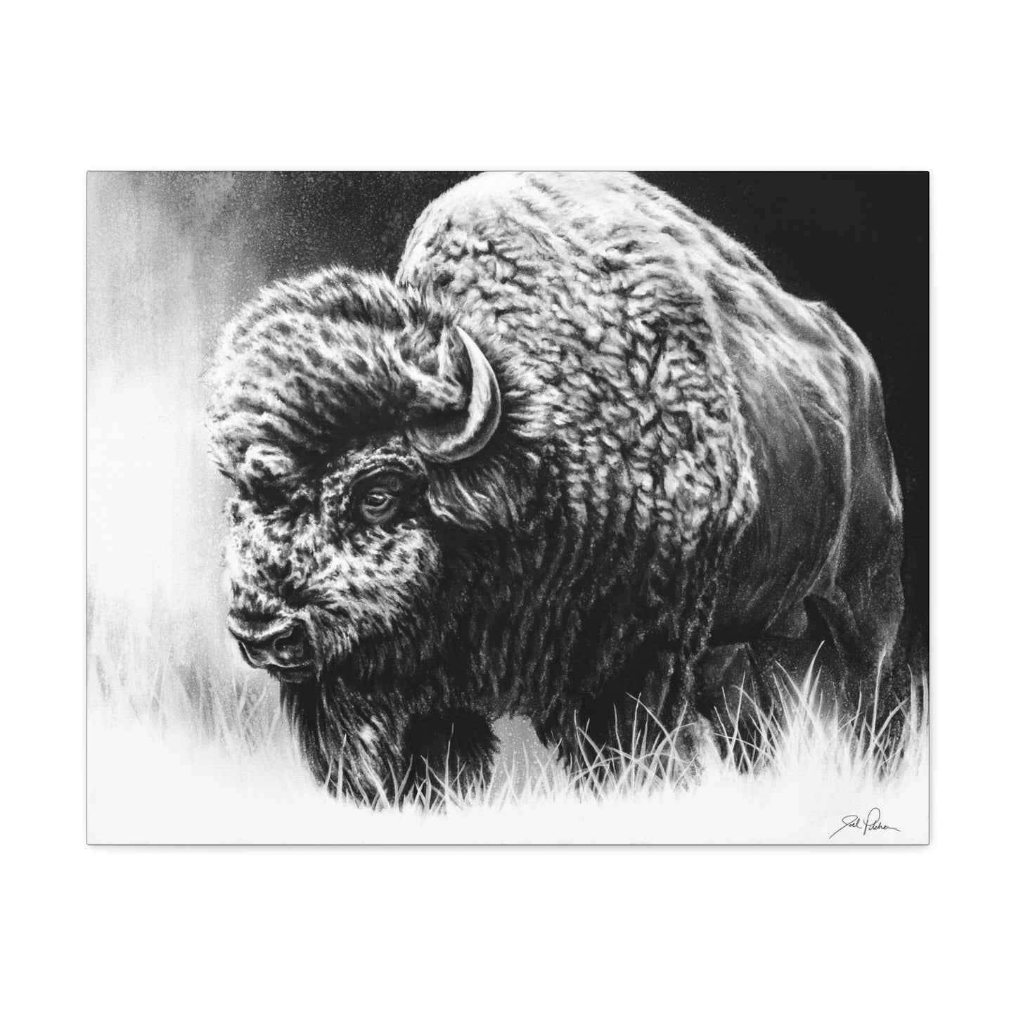 "Bull Dozer" Stretched Canvas