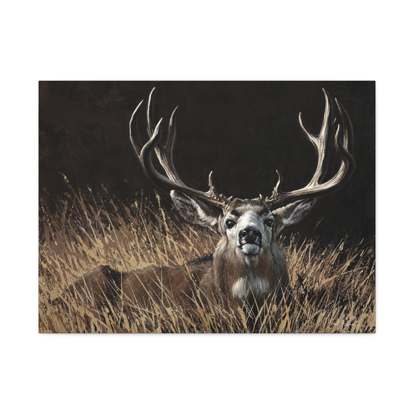 "Eye Contact" Stretched Canvas