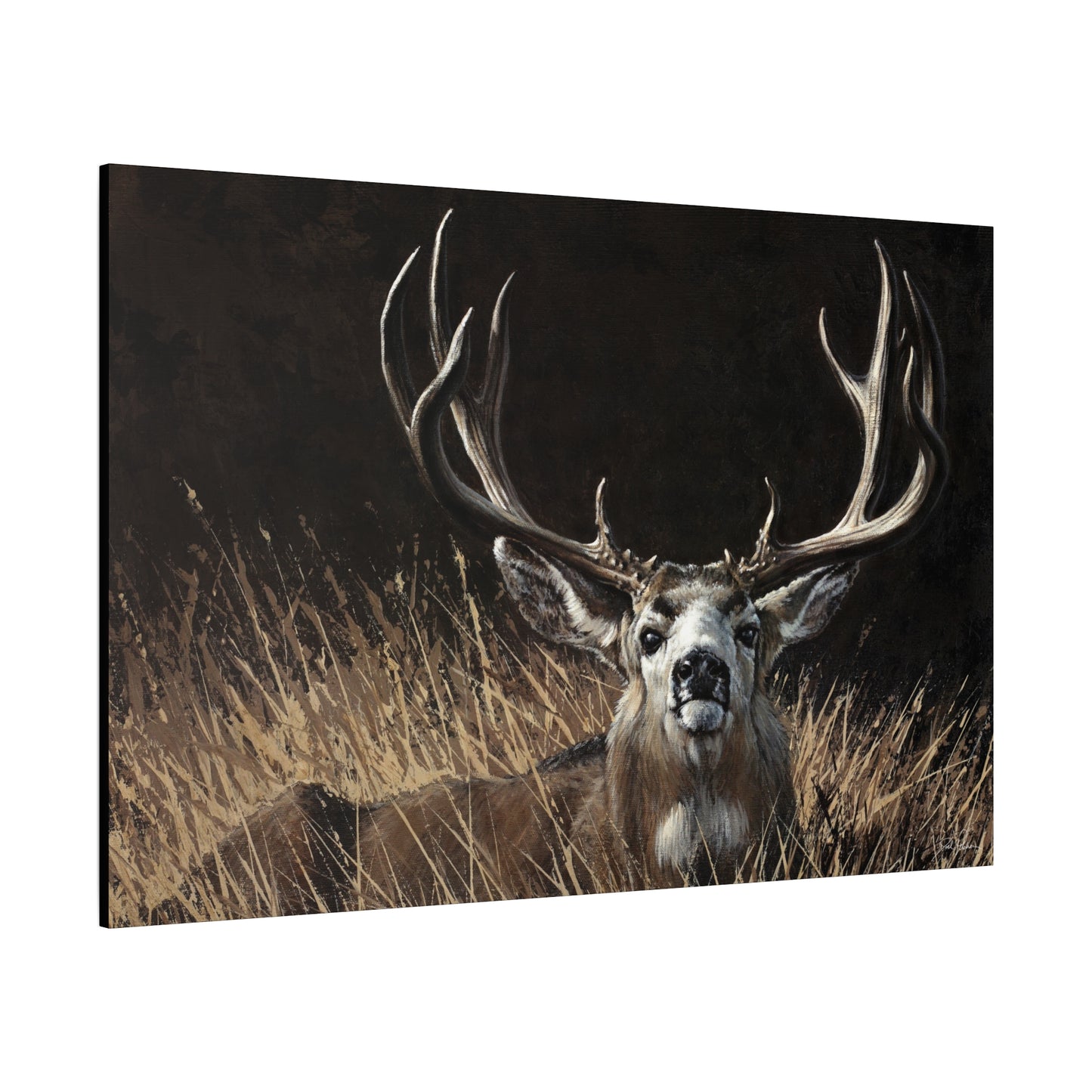 "Eye Contact" Stretched Canvas