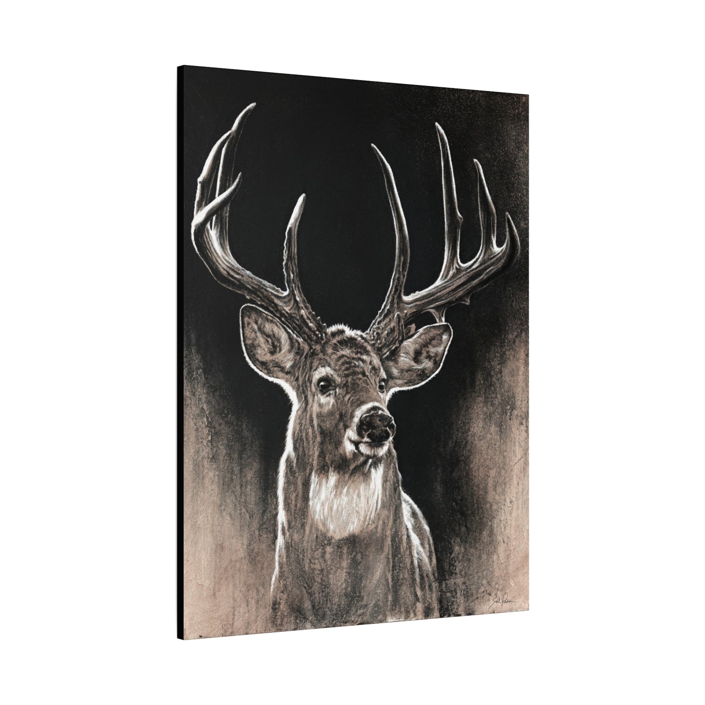 "Backlit Buck" Stretched Canvas