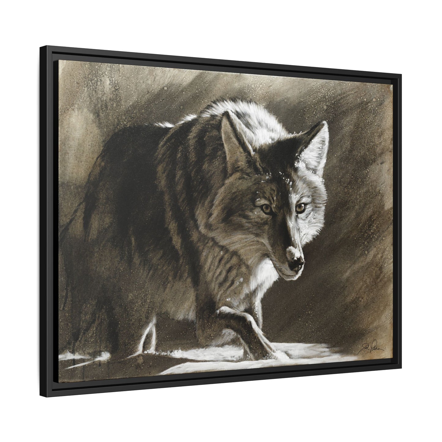 "Coyote" Framed Canvas