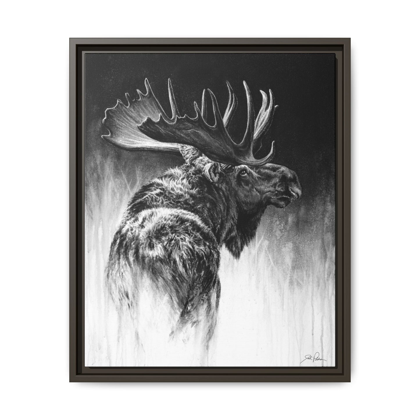 "Bull Moose" Framed Canvas