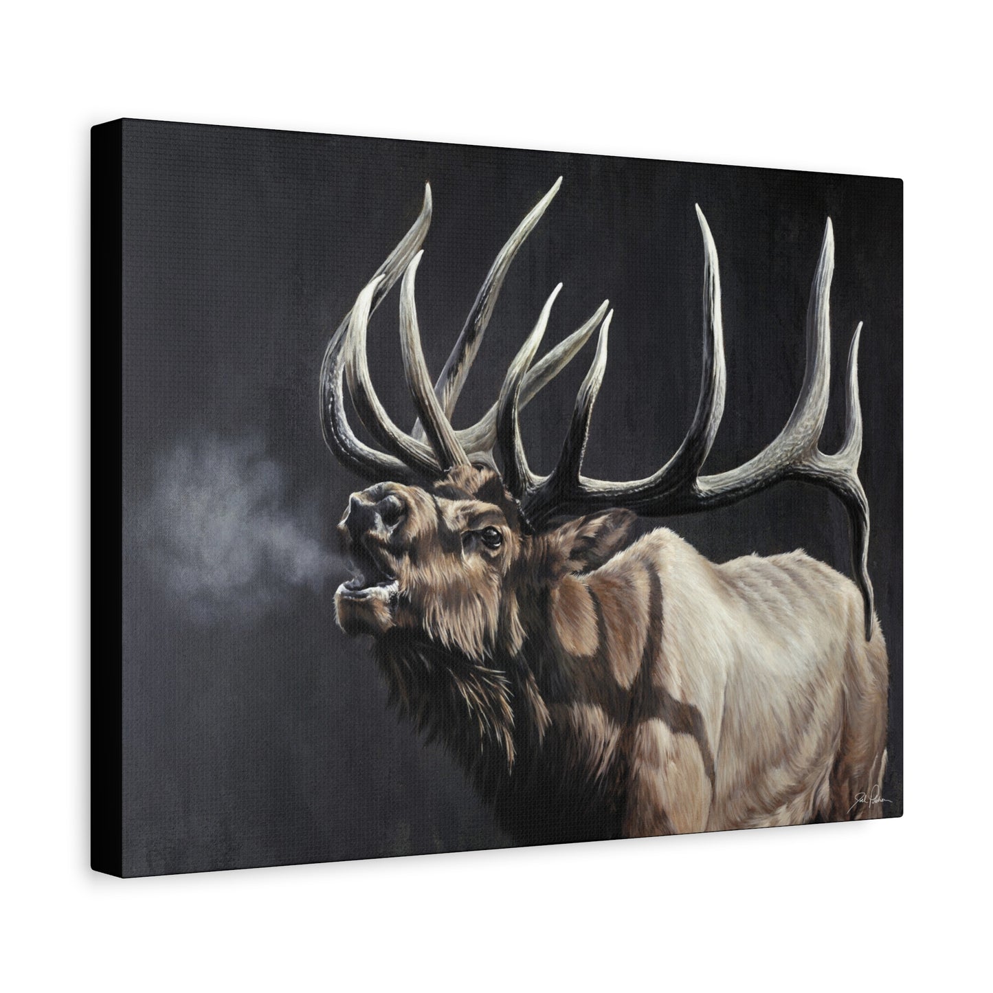 "Royal Persuasion" Stretched Canvas