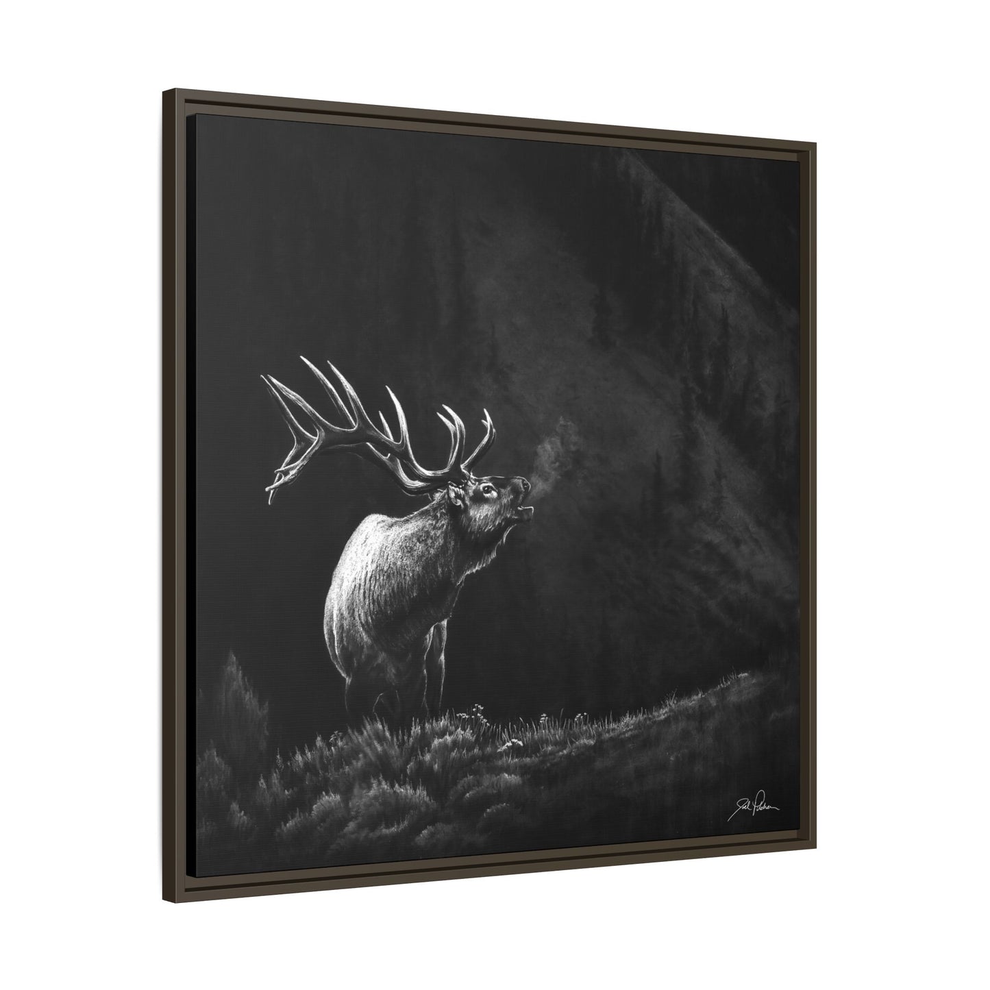 "Mountain Monarch" Framed Canvas