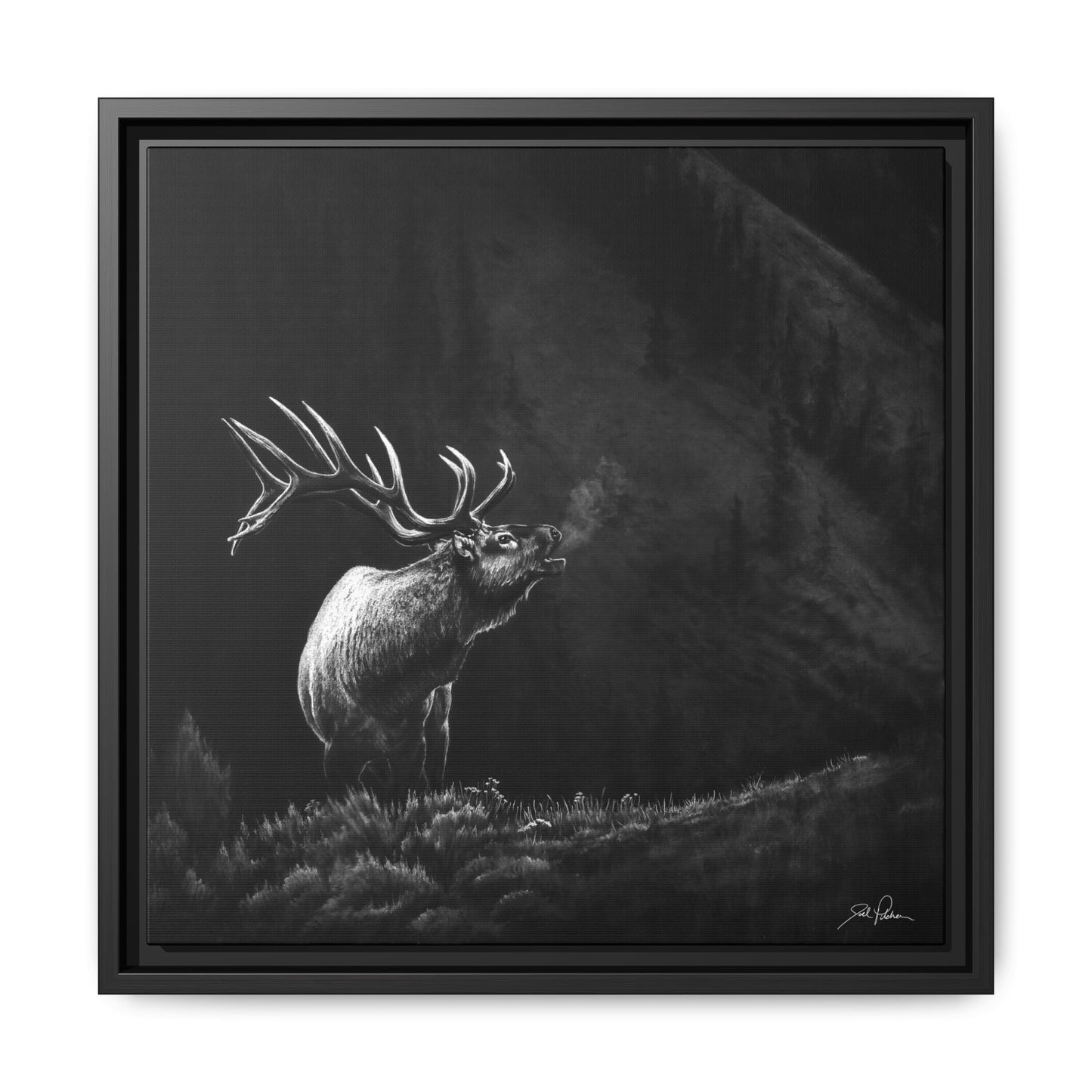 "Mountain Monarch" Framed Canvas