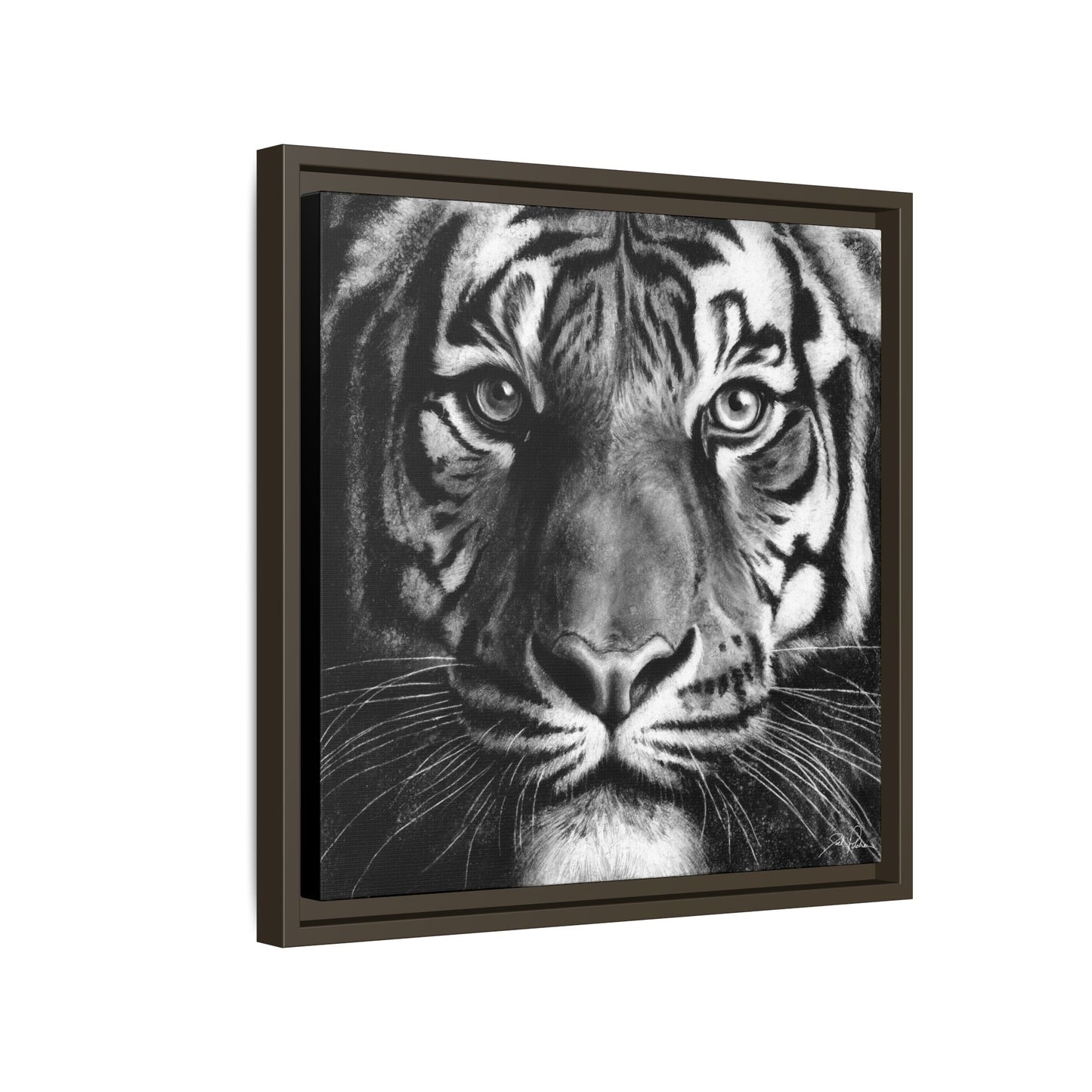 "Tiger" Framed Canvas