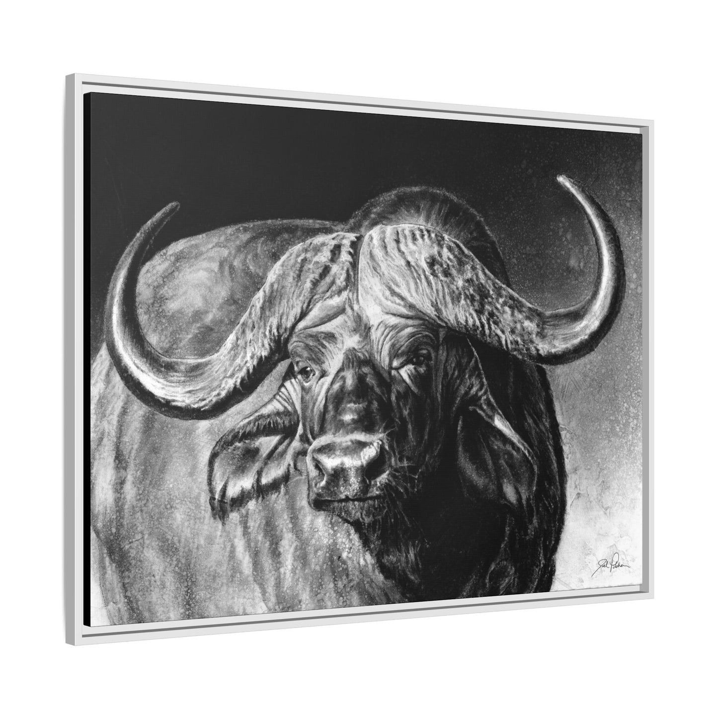 "Cape Buffalo" Framed Canvas