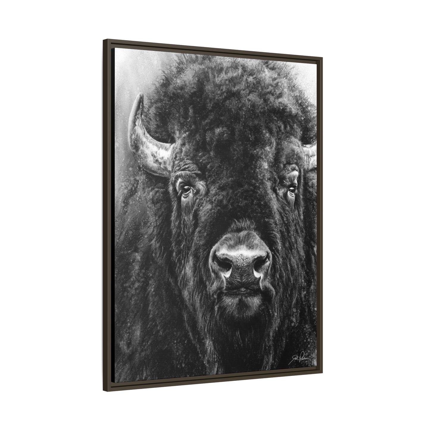 "Tatanka" Framed Canvas