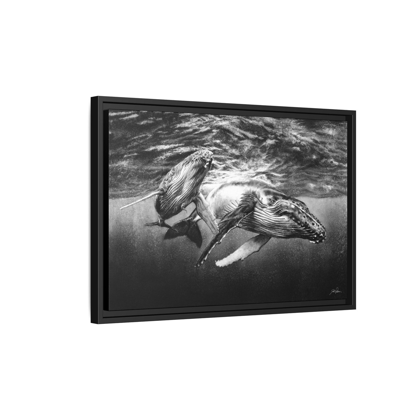"Humpback Whales" Framed Canvas