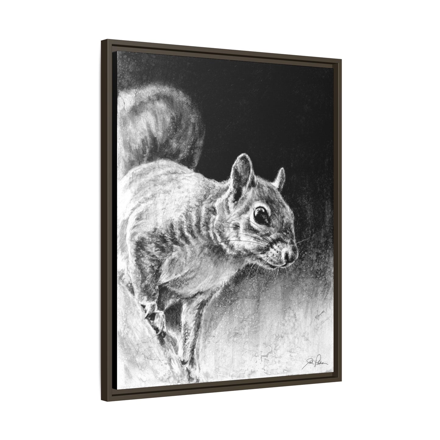 "Squirrel" Framed Canvas