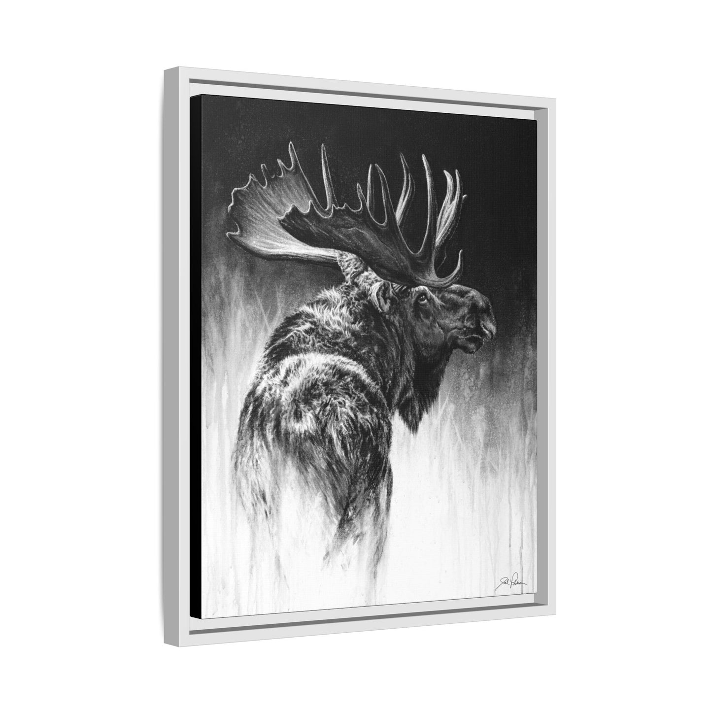 "Bull Moose" Framed Canvas