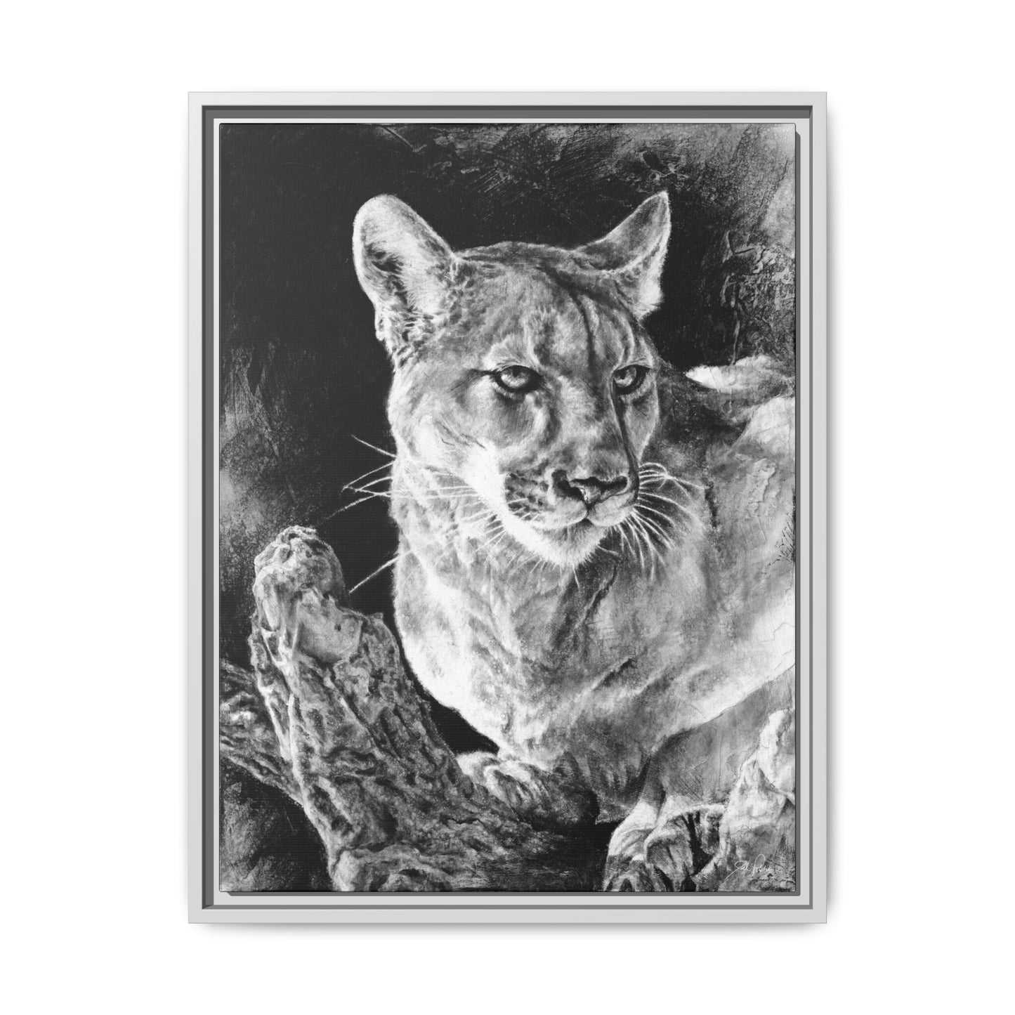 "Mountain Lion" Framed Canvas