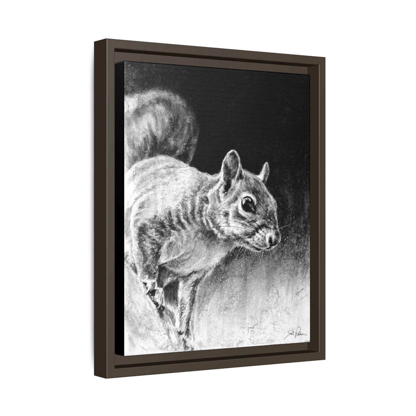 "Squirrel" Framed Canvas