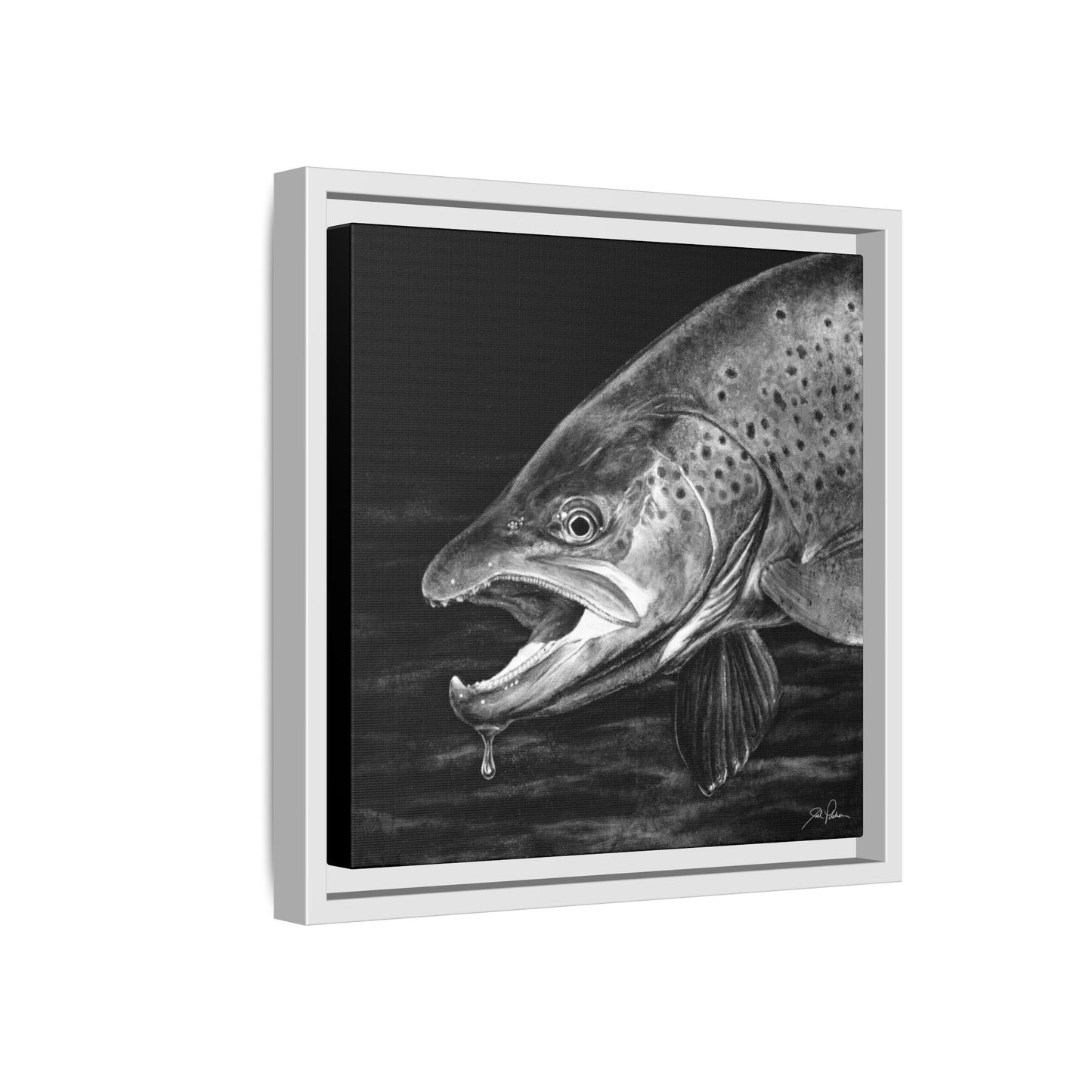 "Brown Trout" Framed Canvas