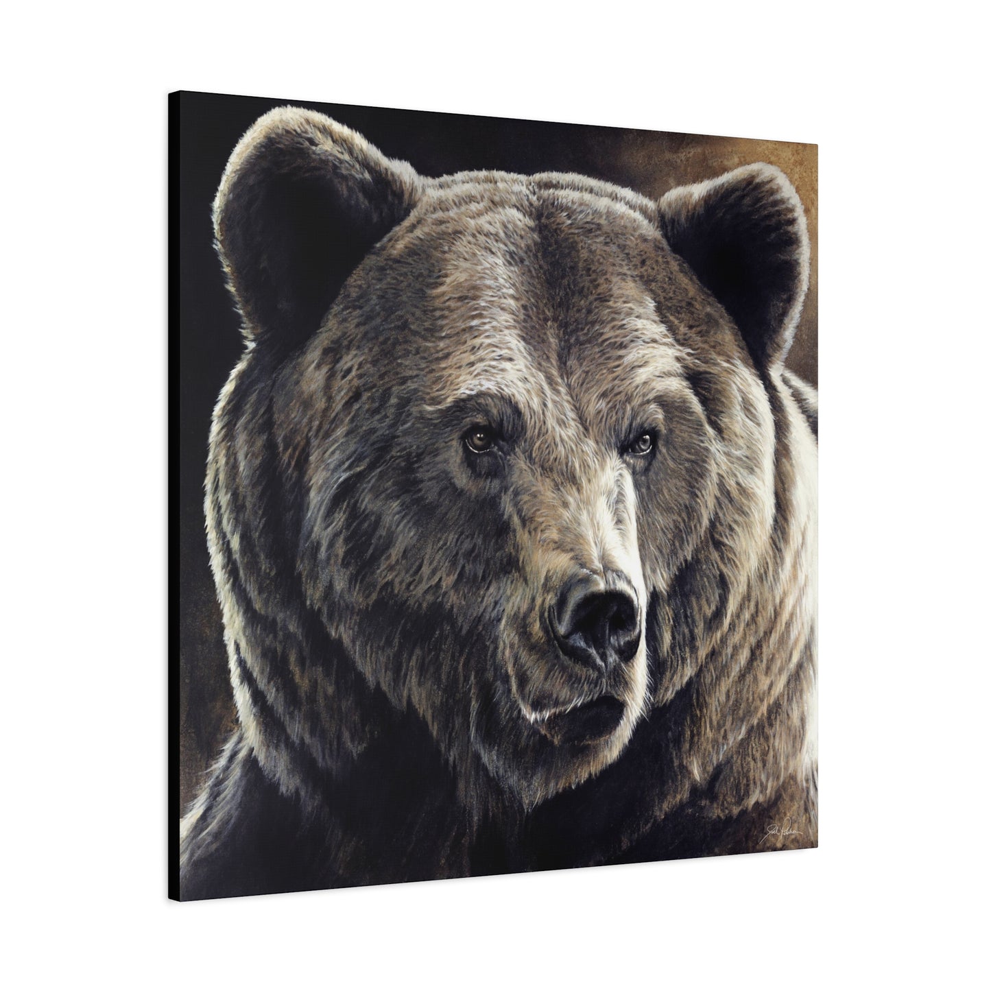 "Kodiak" Stretched Canvas
